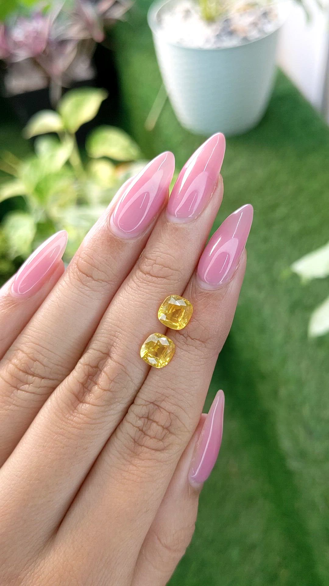 3.43 Ct.Tw.Total Carat Weight Yellow Sapphire Pair from Ceylon (Sri Lanka) Size Video