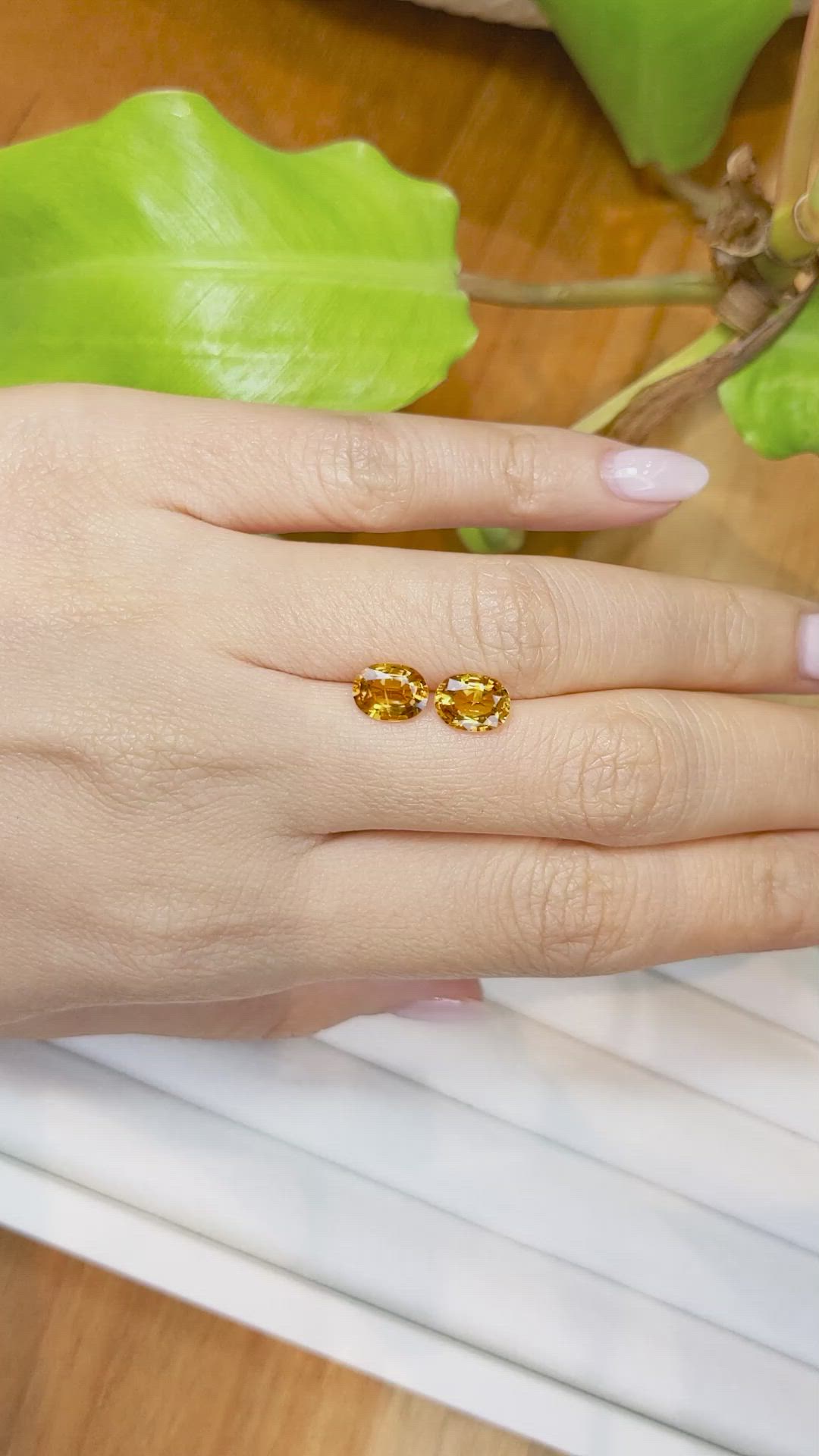 3.22&nbsp;Ct.Tw.Total Carat Weight Yellowish Orange Sapphire Pair from Ceylon (Sri Lanka) Size Video