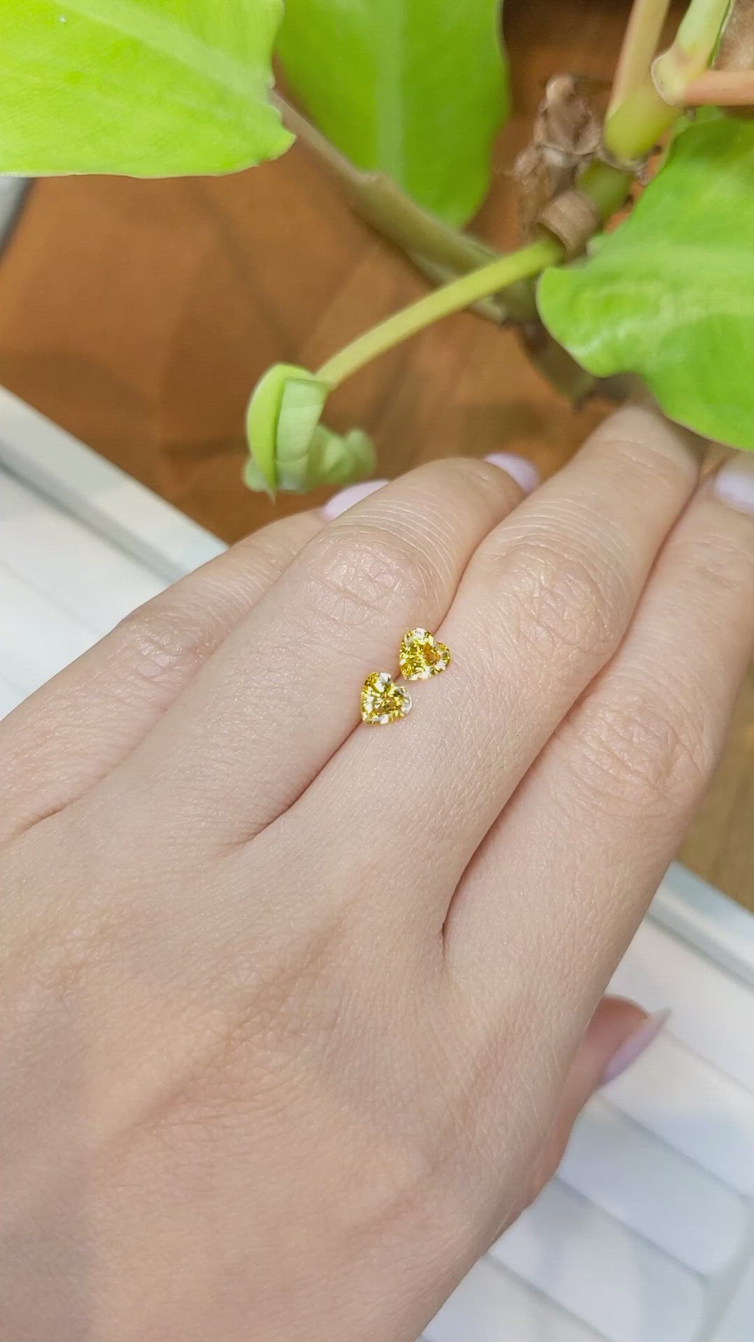 1.02 Ct.Tw.Total Carat Weight Yellow Sapphire Pair from Ceylon (Sri Lanka) Size Video