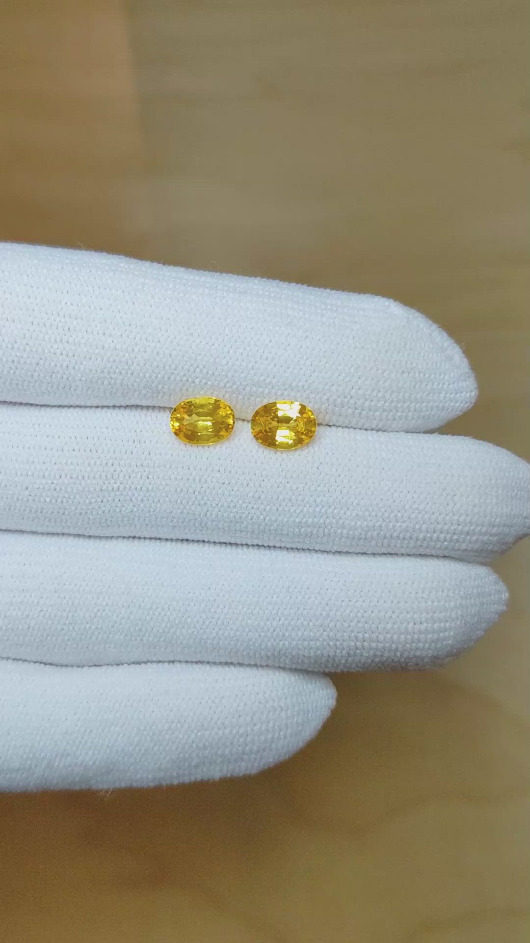 2.29 Ct.Tw.Total Carat Weight Yellow Sapphire Pair from Ceylon (Sri Lanka) Size Video