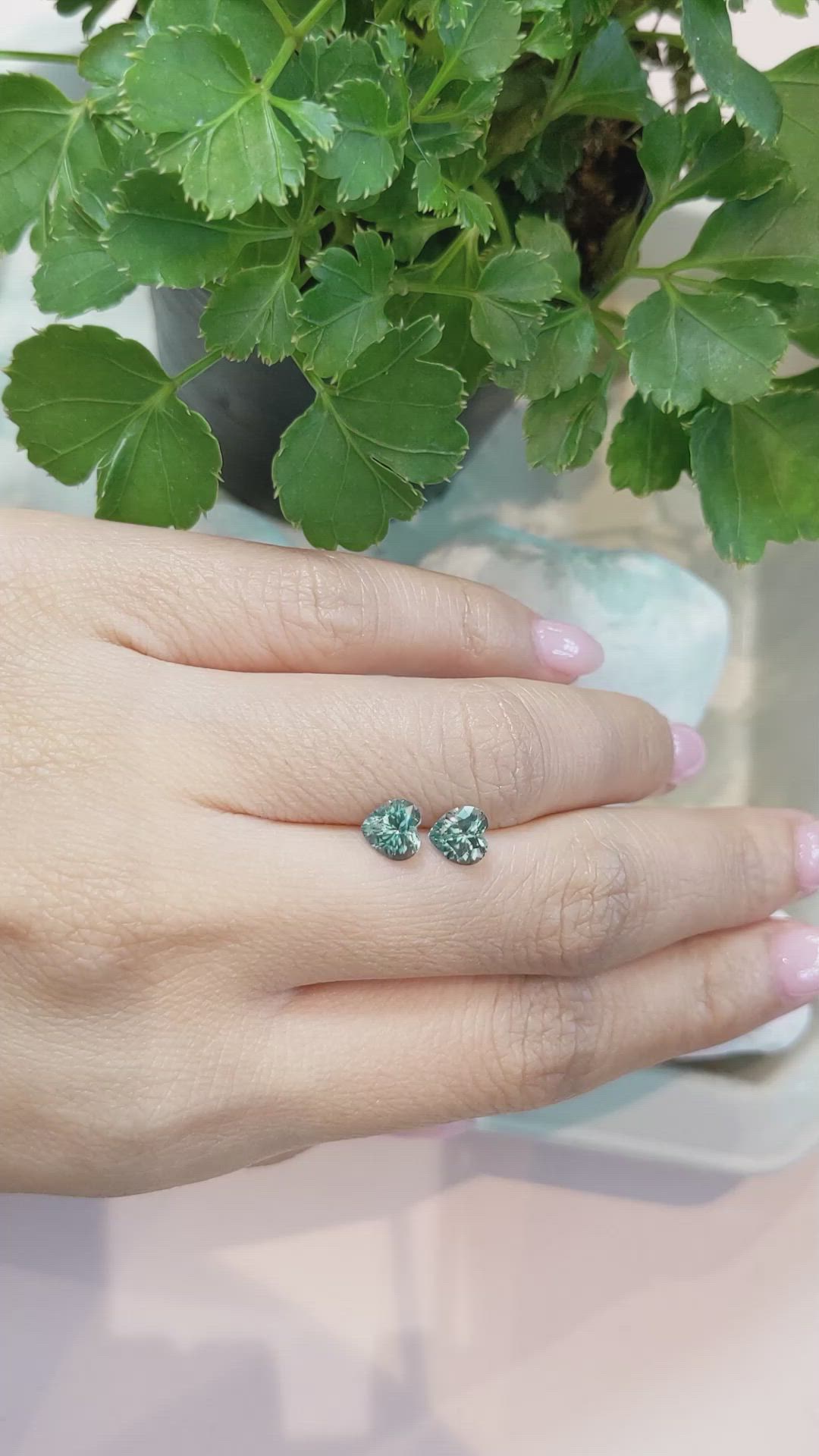 1.87 Ct.Tw.Total Carat Weight Bluish Green Sapphire Pair from Montana Size Video