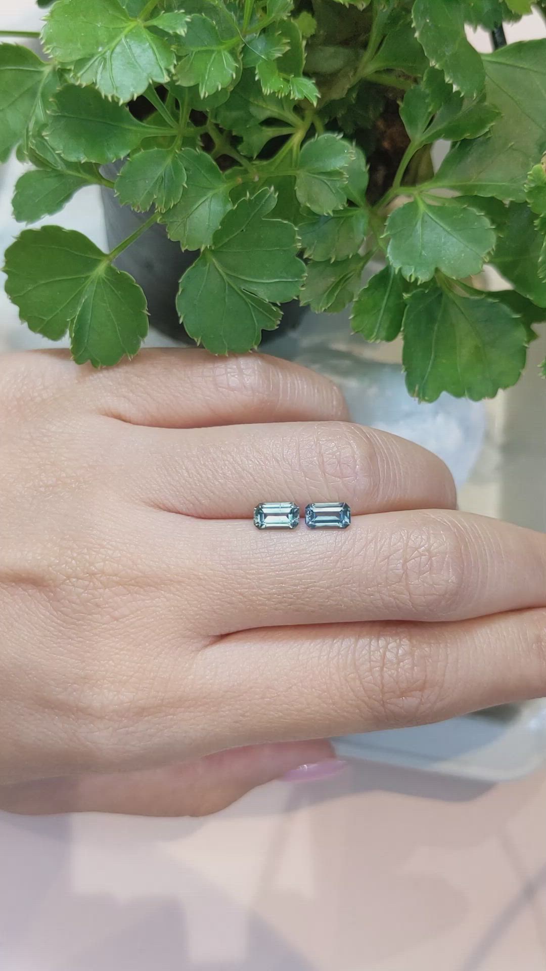 1.65 Ct.Tw.Total Carat Weight Greenish Blue Sapphire Pair from Montana Size Video