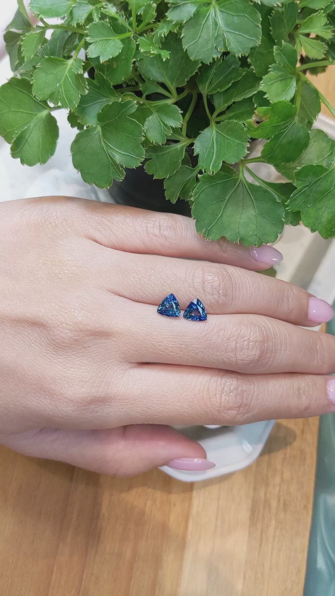 2.52 Ct.Tw.Total Carat Weight Blue Sapphire Pair from Ceylon (Sri Lanka) Size Video