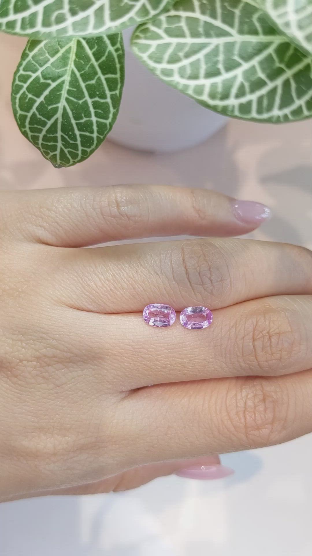 1.71&nbsp;Ct.Tw.Total Carat Weight Pink Sapphire Pair from Ceylon (Sri Lanka) Size Video