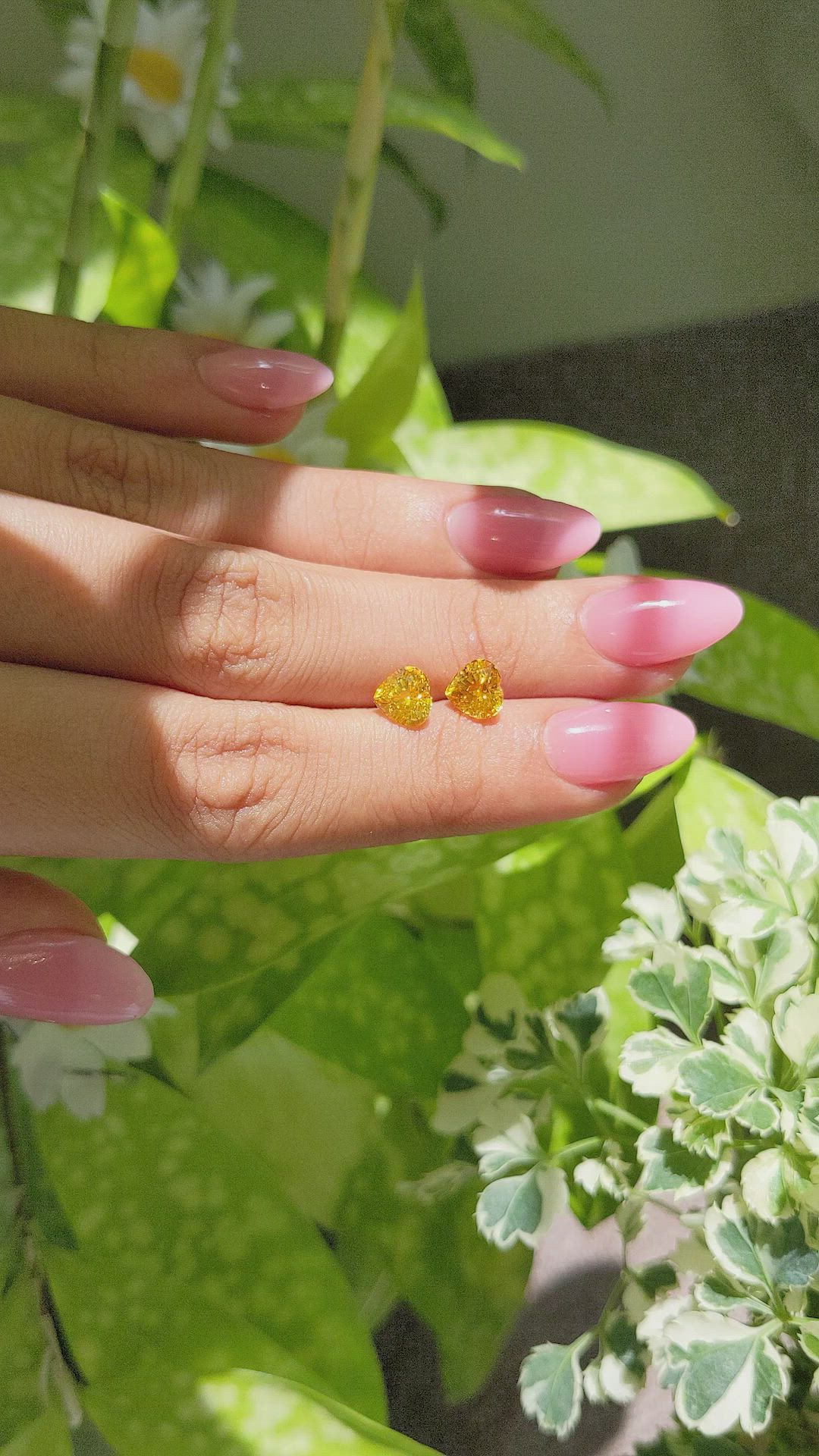 2.73&nbsp;Ct.Tw.Total Carat Weight Orangish Yellow Sapphire Pair from Ceylon (Sri Lanka) Size Video