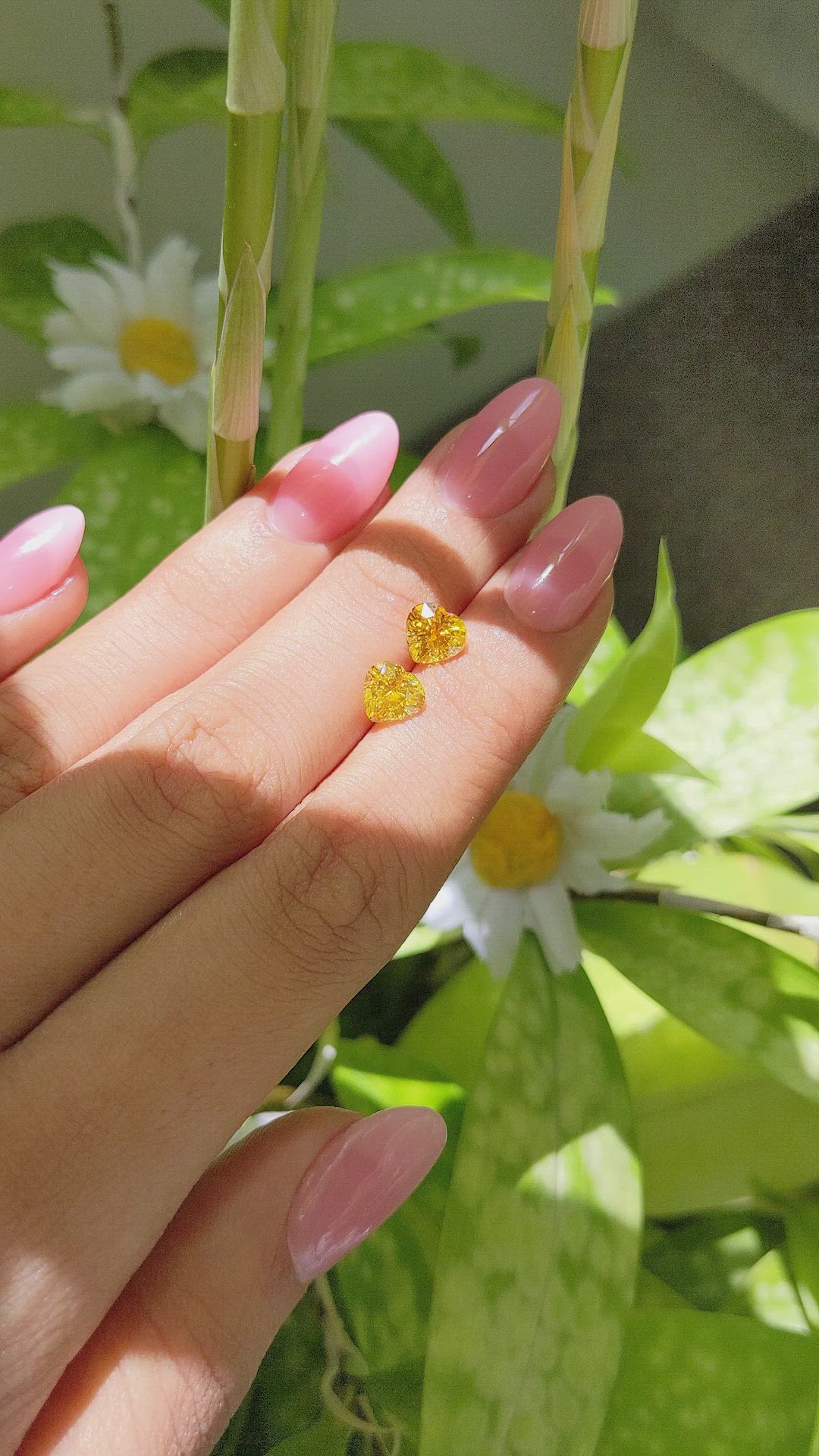 2.73&nbsp;Ct.Tw.Total Carat Weight Orangish Yellow Sapphire Pair from Ceylon (Sri Lanka) Size Video