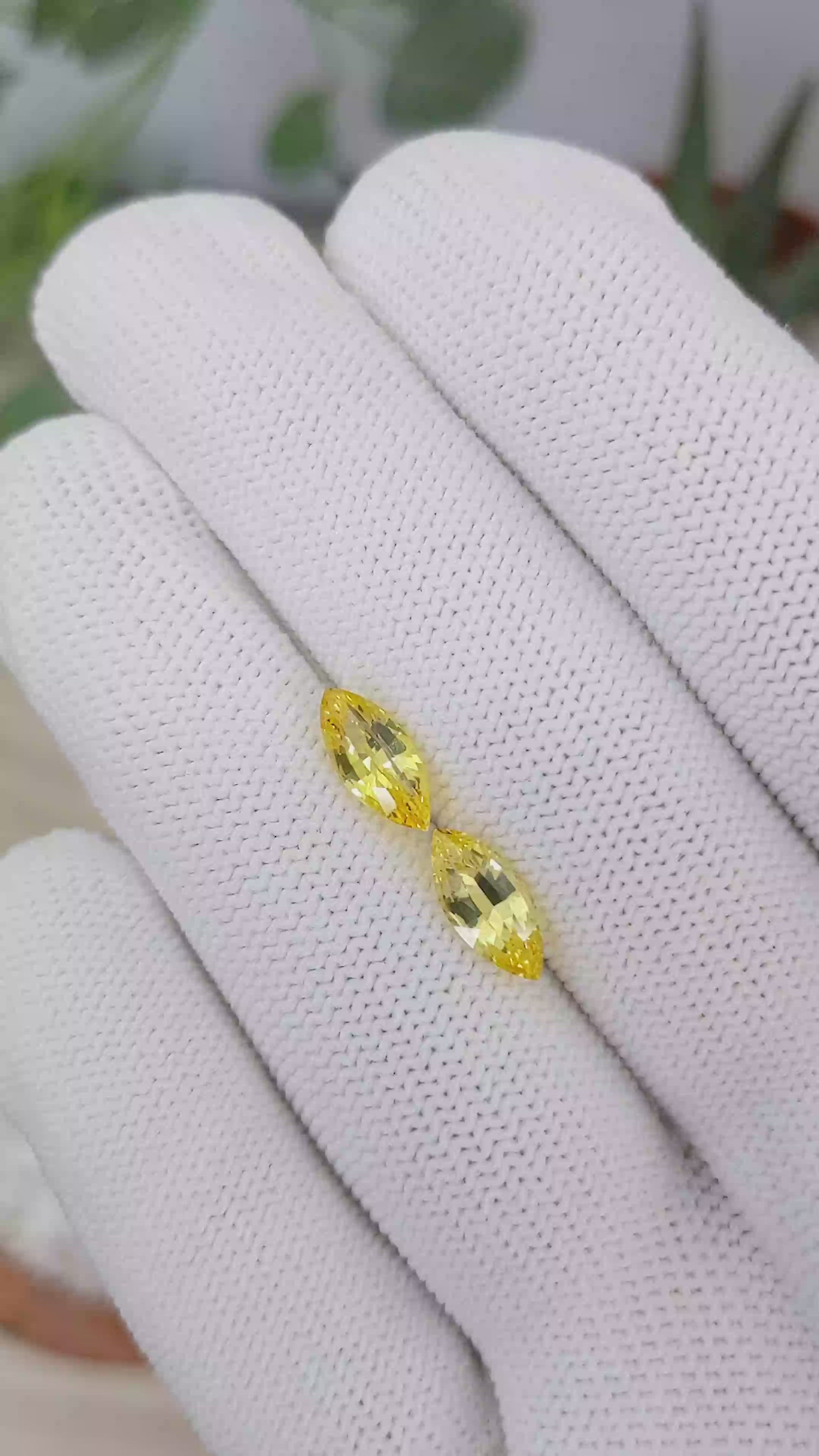 2.93 Ct.Tw.Total Carat Weight Yellow Sapphire Pair from Ceylon (Sri Lanka) Size Video