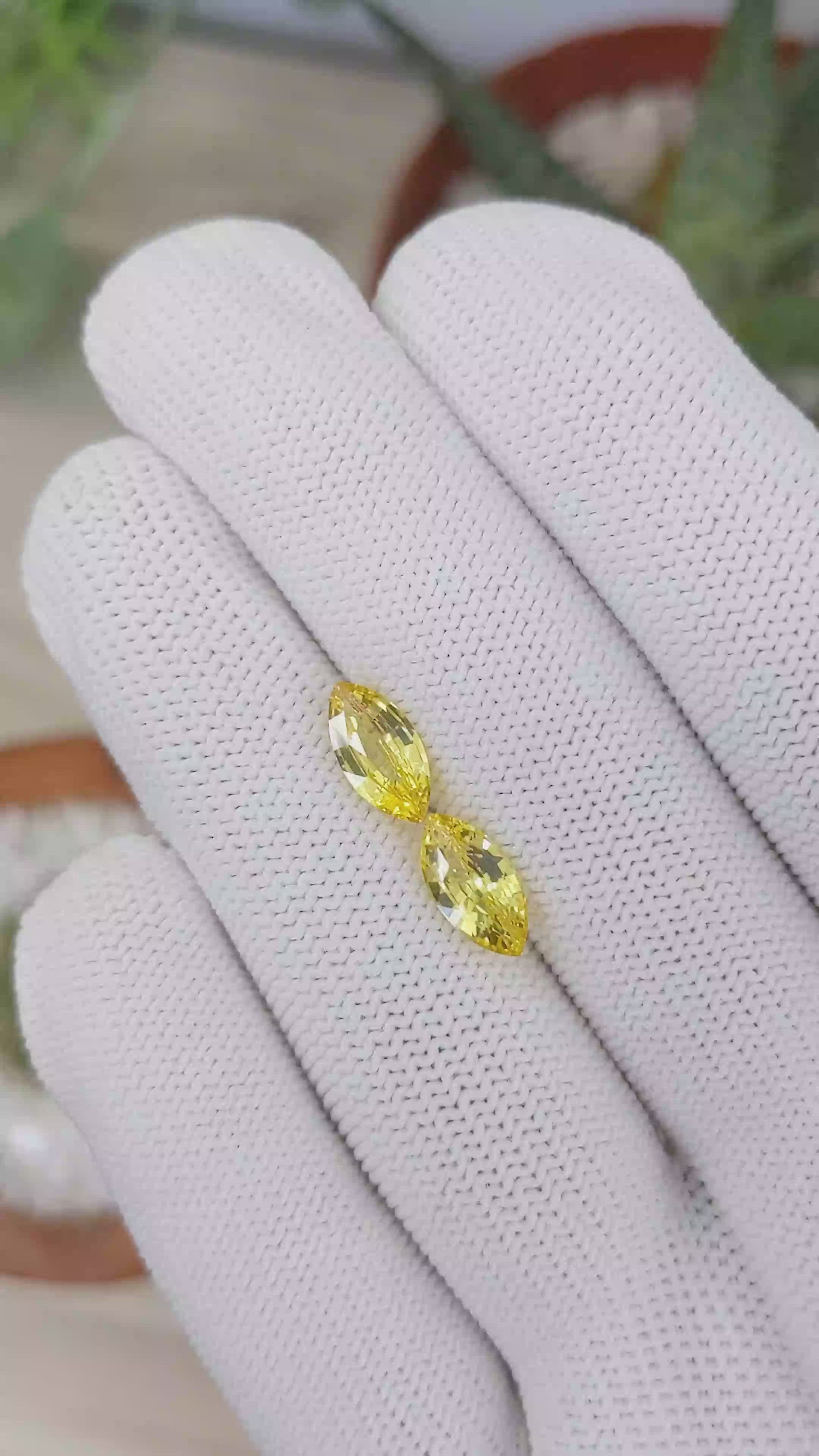 2.90&nbsp;Ct.Tw.Total Carat Weight Yellow Sapphire Pair from Ceylon (Sri Lanka) Size Video