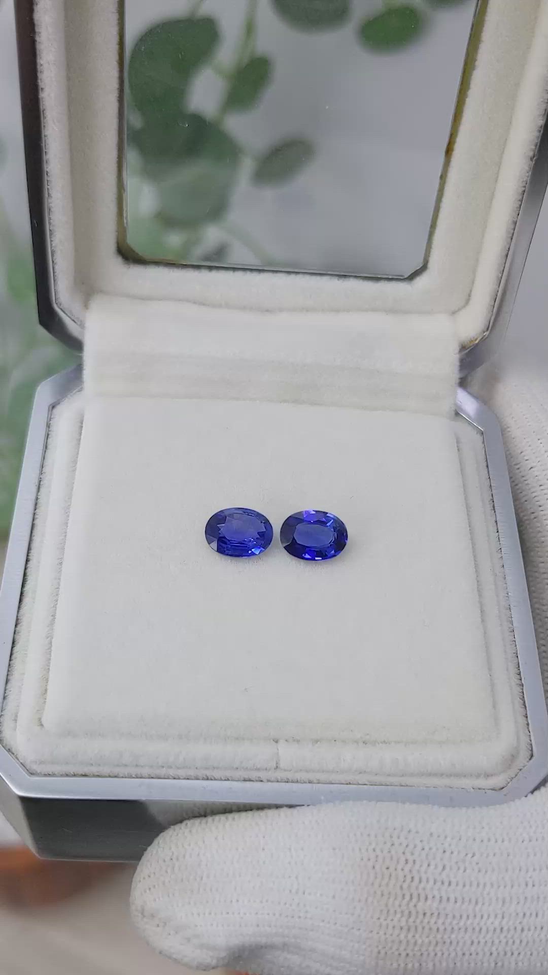 2.47&nbsp;Ct.Tw.Total Carat Weight Blue Sapphire Pair from Ceylon (Sri Lanka) Size Video