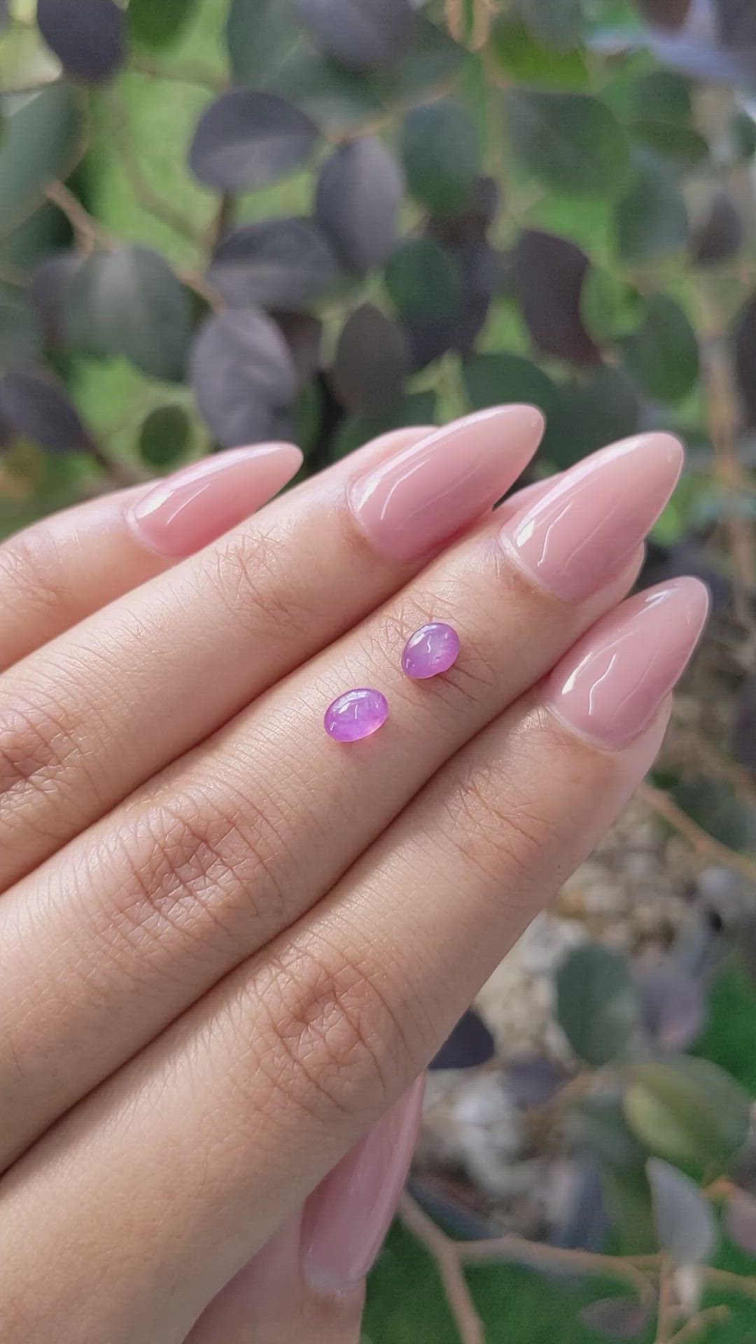 1.17&nbsp;Ct.Tw.Total Carat Weight Pinkish Purple Star Sapphire Pair from Ceylon (Sri Lanka) Size Video