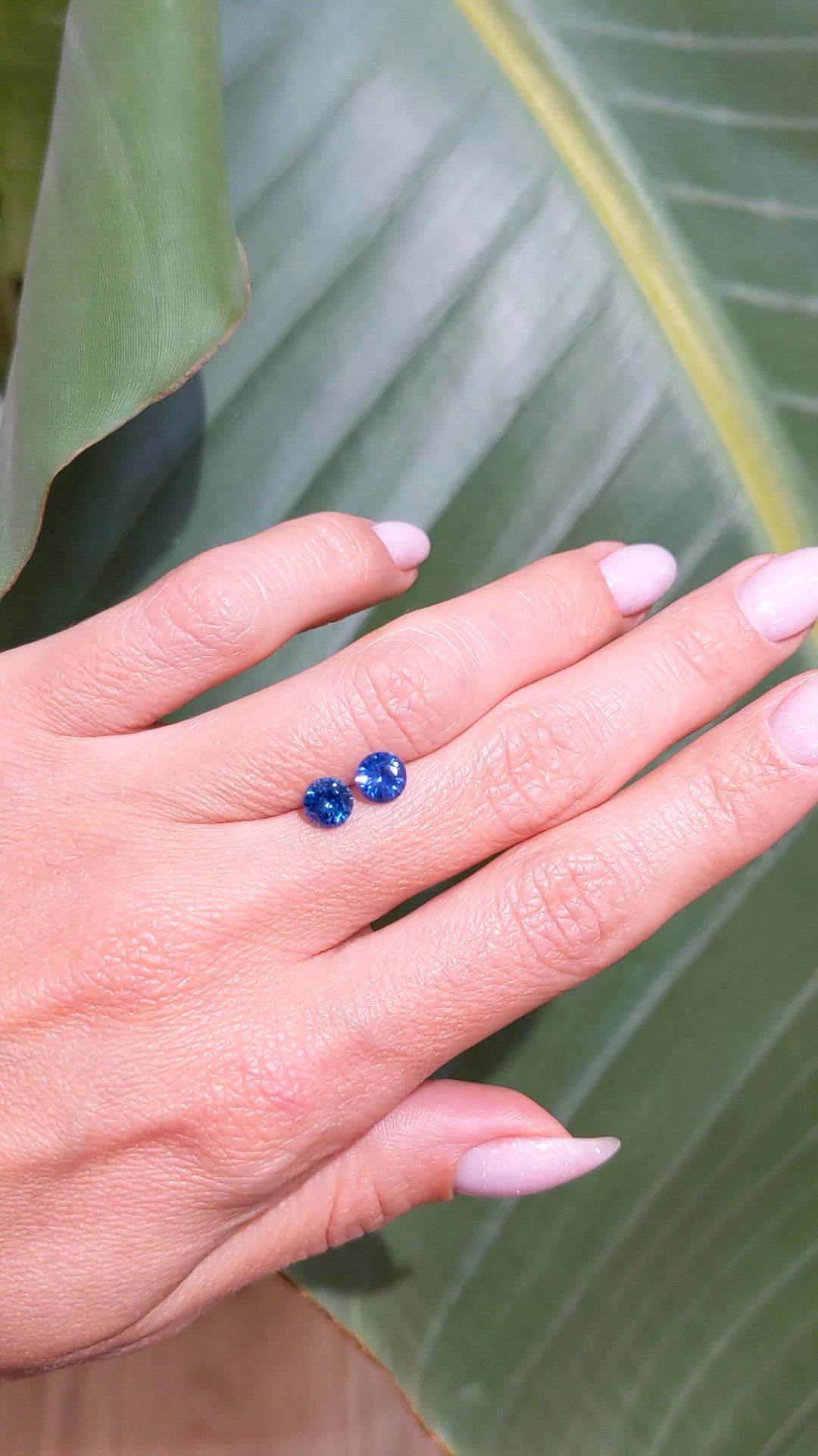 1.66 Ct.Tw.Total Carat Weight Blue Sapphire Pair from Ceylon (Sri Lanka) Size Video