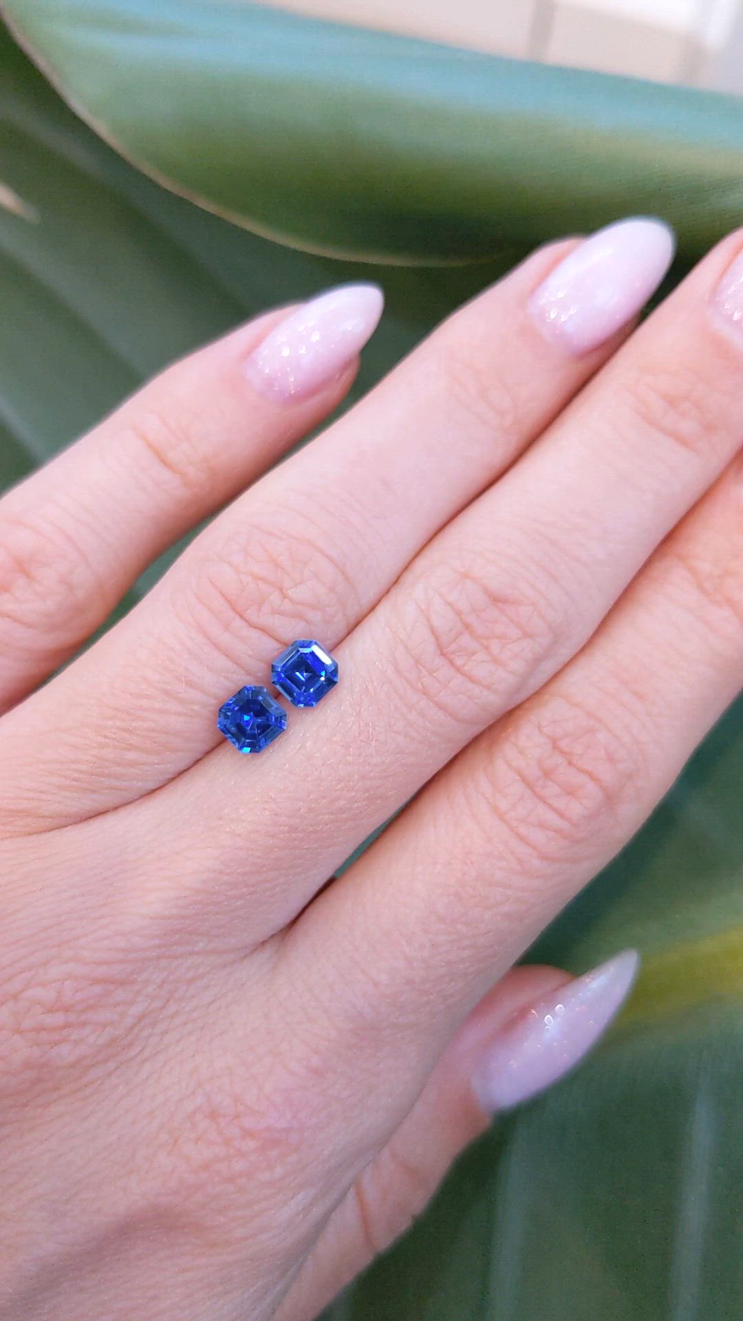 1.46&nbsp;Ct.Tw.Total Carat Weight Blue Sapphire Pair from Ceylon (Sri Lanka) Size Video