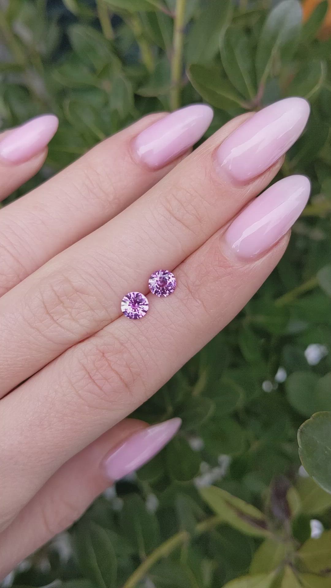 1.25&nbsp;Ct.Tw.Total Carat Weight Pink Sapphire Pair from Ceylon (Sri Lanka) Size Video