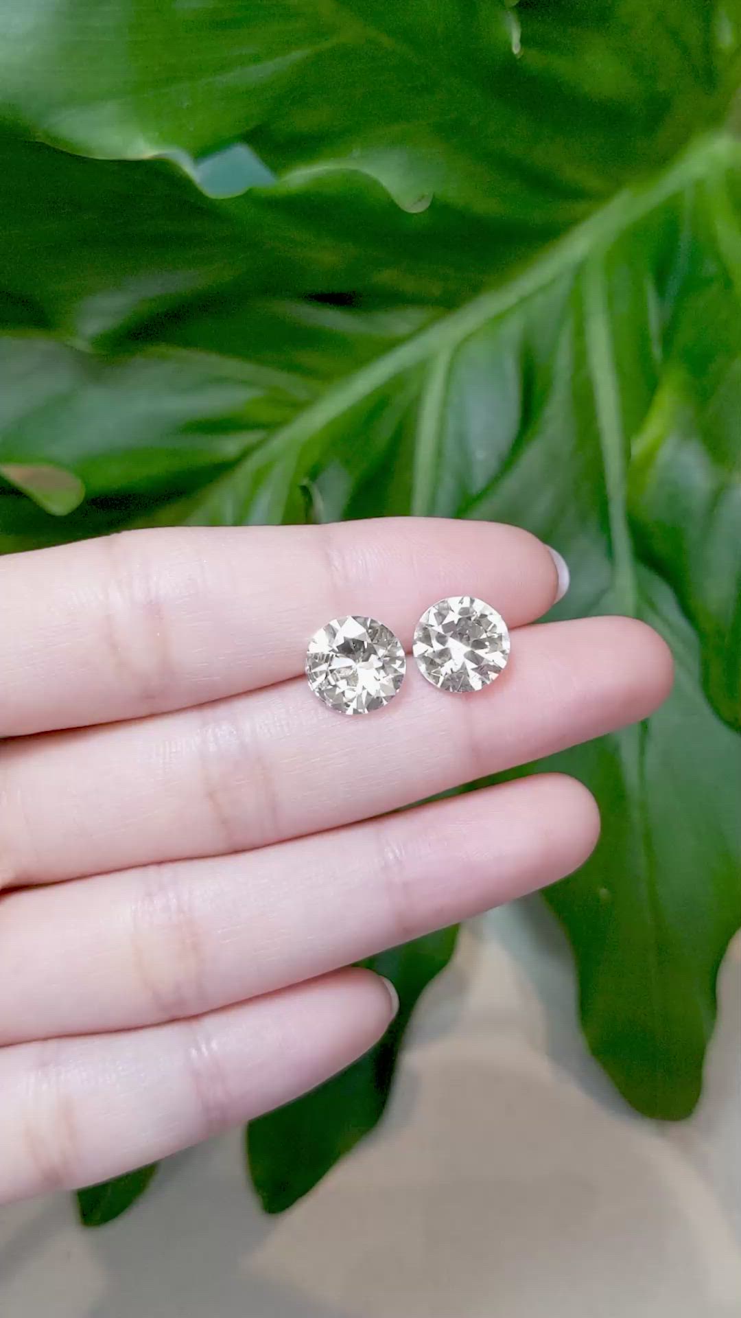 7.84&nbsp;Ct.Tw.Total Carat Weight Yellow Sapphire Pair from Ceylon (Sri Lanka) Size Video