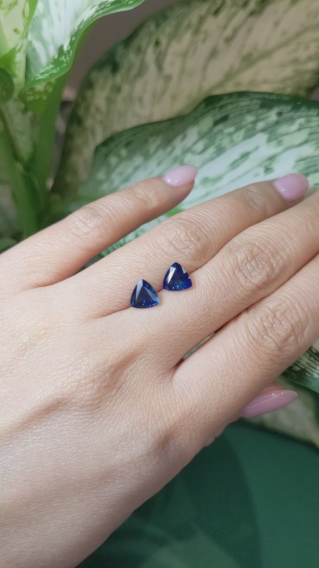 2.36&nbsp;Ct.Tw.Total Carat Weight Blue Sapphire Pair from Ceylon (Sri Lanka) Size Video