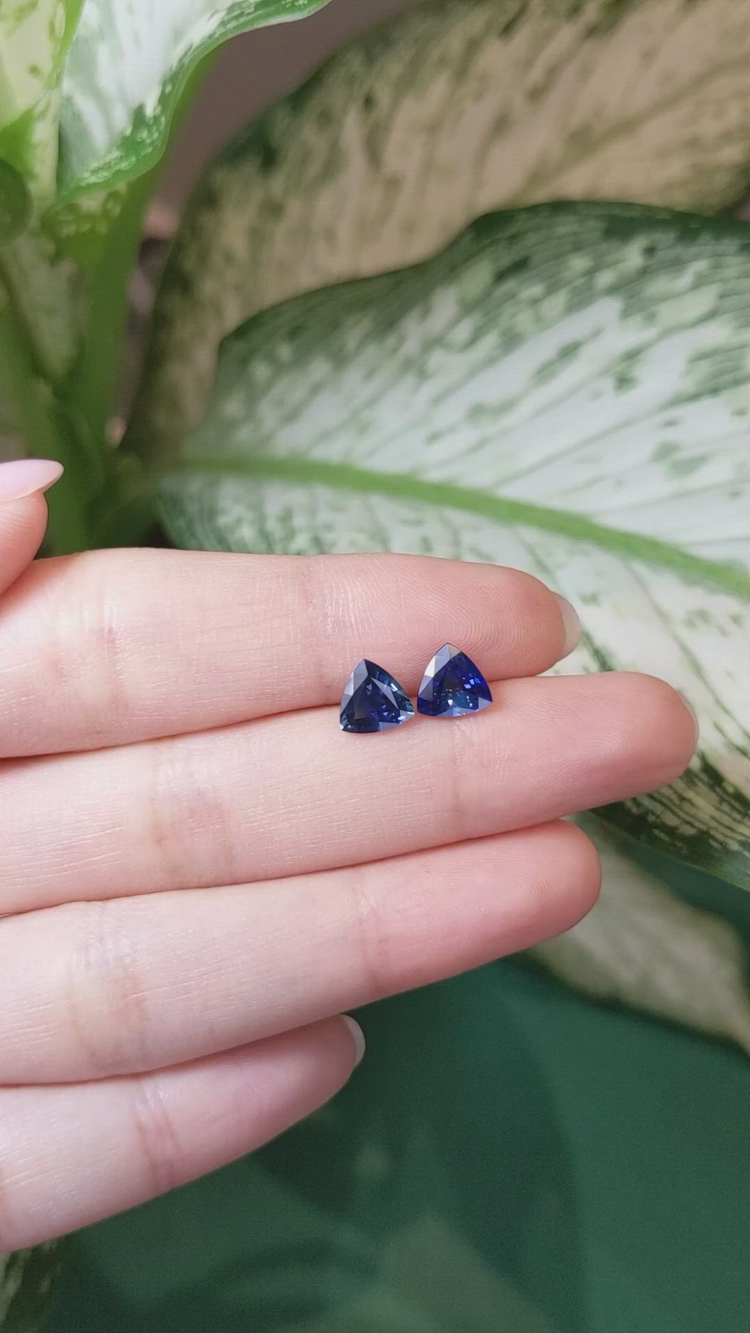 2.36&nbsp;Ct.Tw.Total Carat Weight Blue Sapphire Pair from Ceylon (Sri Lanka) Size Video