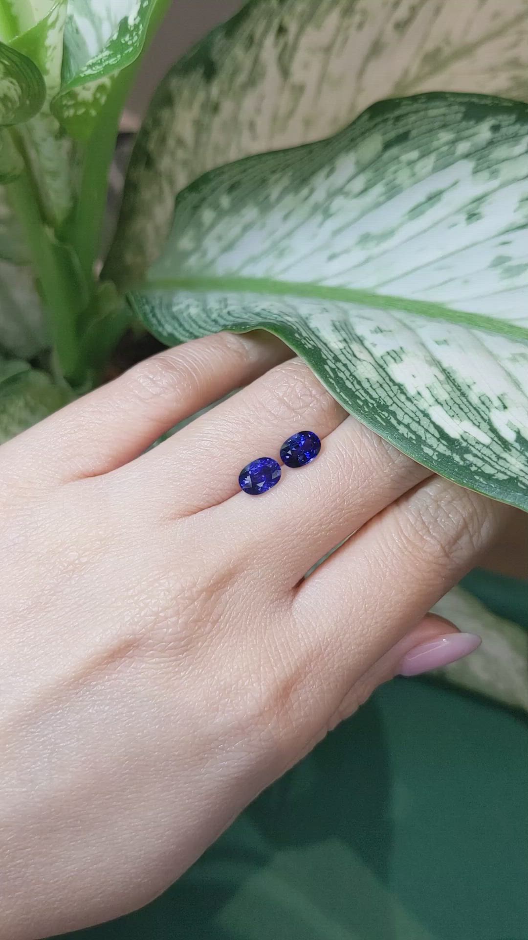 2.48&nbsp;Ct.Tw.Total Carat Weight Blue Sapphire Pair from Ceylon (Sri Lanka) Size Video