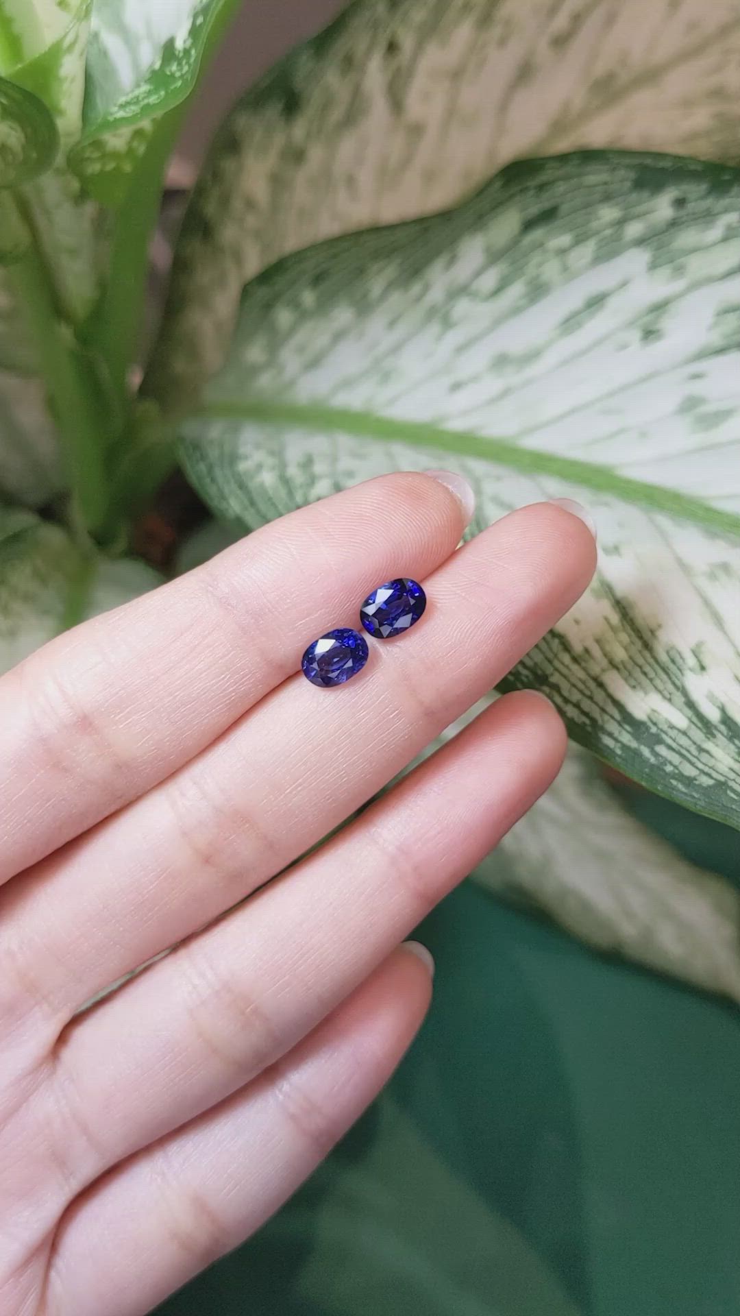 2.48&nbsp;Ct.Tw.Total Carat Weight Blue Sapphire Pair from Ceylon (Sri Lanka) Size Video