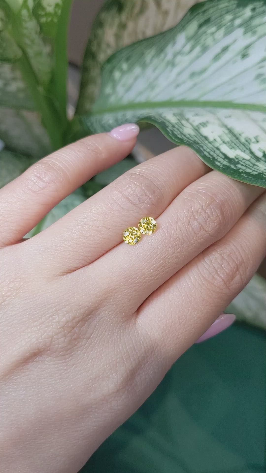 1.03 Ct.Tw.Total Carat Weight Yellow Sapphire Pair from Ceylon (Sri Lanka) Size Video