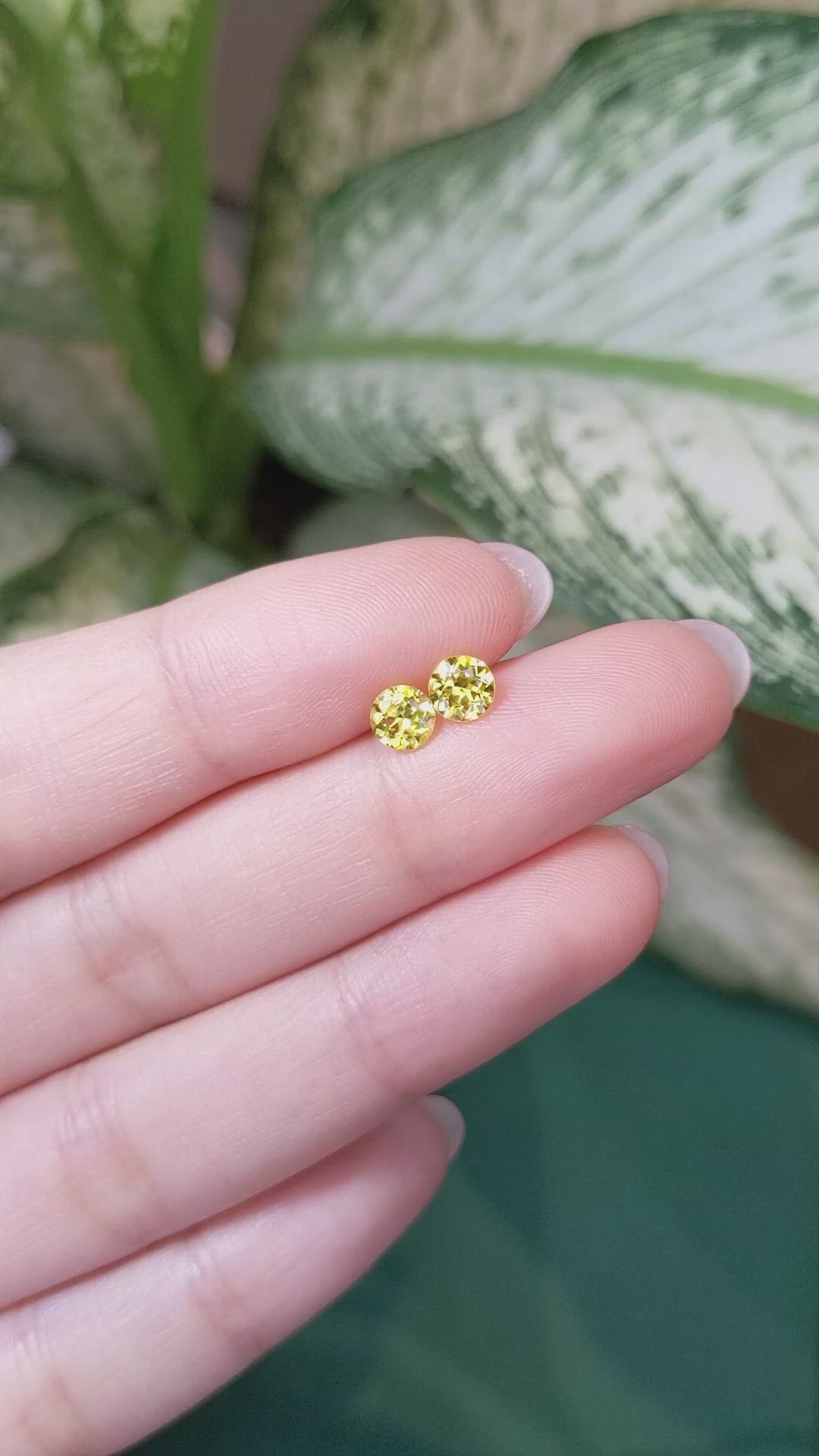 1.03 Ct.Tw.Total Carat Weight Yellow Sapphire Pair from Ceylon (Sri Lanka) Size Video