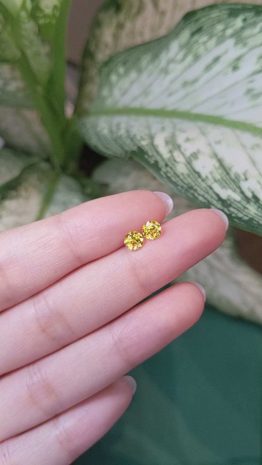 1.05&nbsp;Ct.Tw.Total Carat Weight Yellow Sapphire Pair from Ceylon (Sri Lanka) Size Video