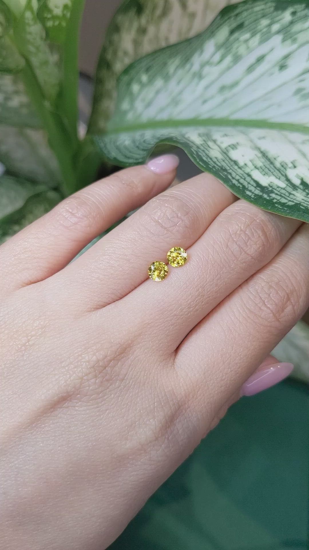 1.05&nbsp;Ct.Tw.Total Carat Weight Yellow Sapphire Pair from Ceylon (Sri Lanka) Size Video