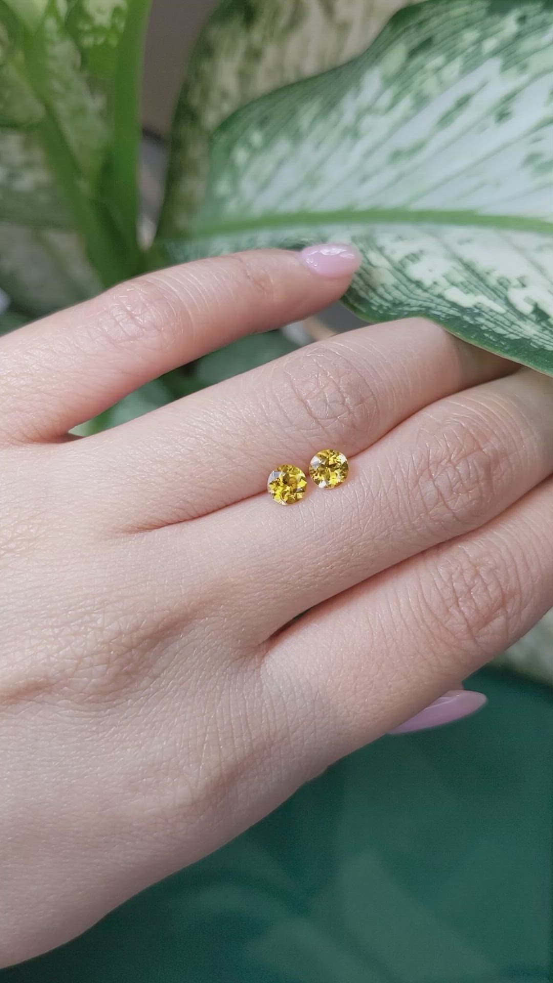 1.09 Ct.Tw.Total Carat Weight Yellow Sapphire Pair from Ceylon (Sri Lanka) Size Video