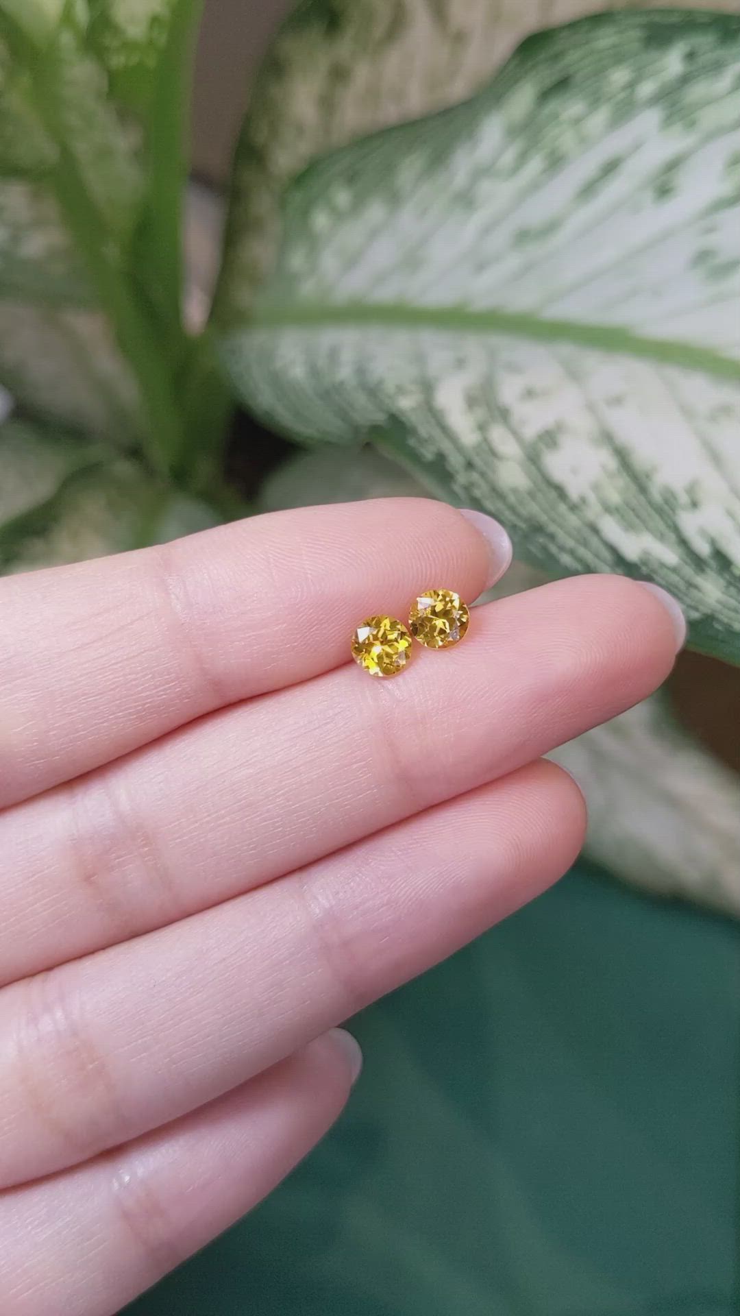 1.09 Ct.Tw.Total Carat Weight Yellow Sapphire Pair from Ceylon (Sri Lanka) Size Video