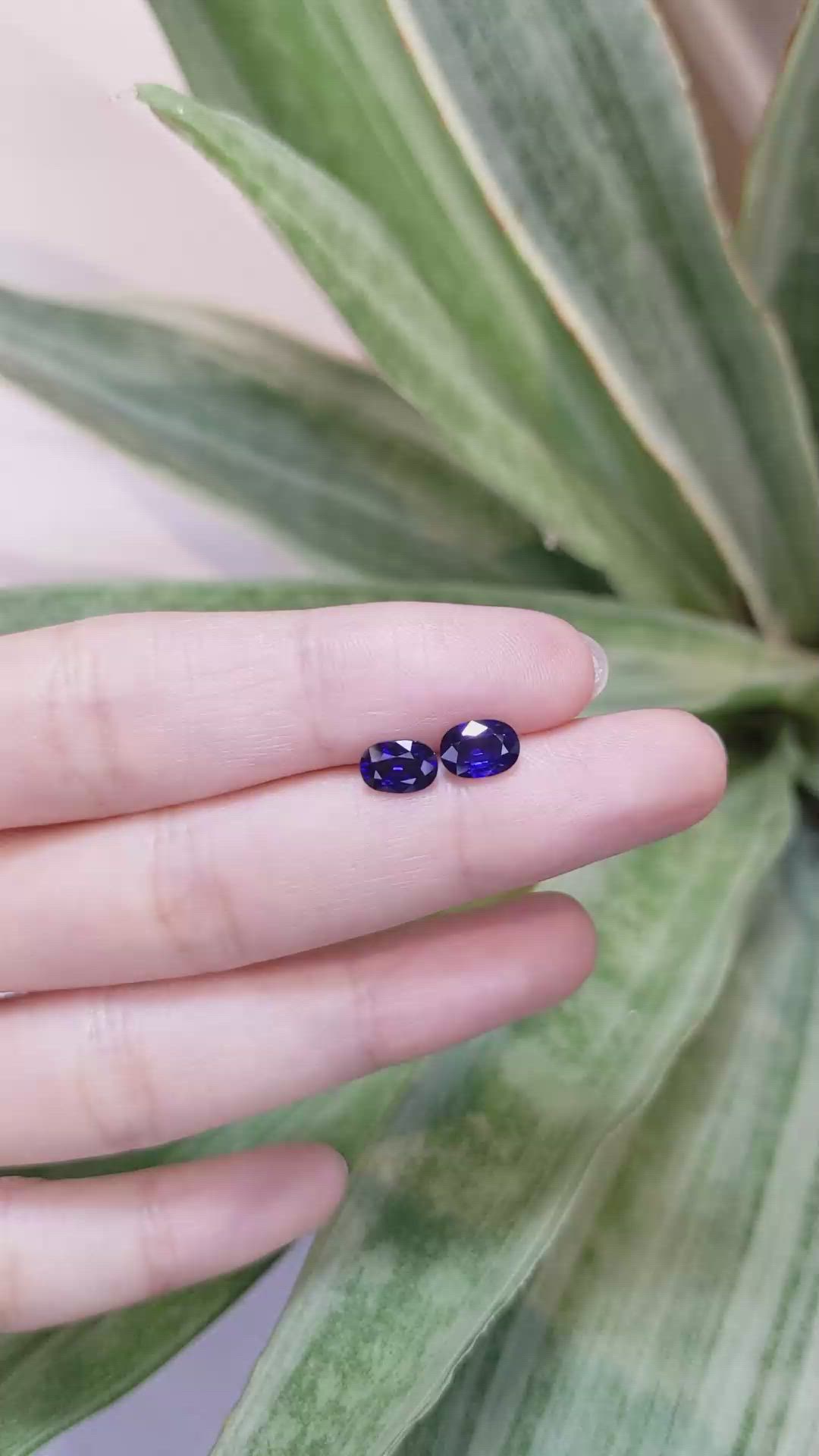 2.03&nbsp;Ct.Tw.Total Carat Weight Blue Sapphire Pair from Ceylon (Sri Lanka) Size Video