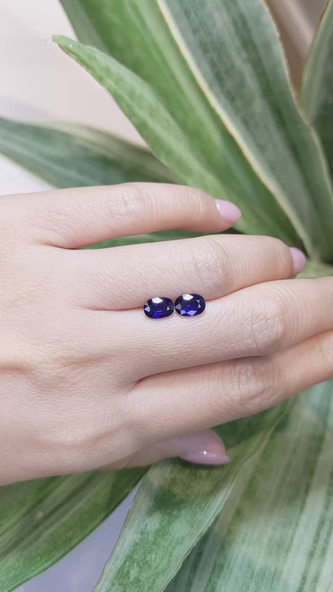 2.03&nbsp;Ct.Tw.Total Carat Weight Blue Sapphire Pair from Ceylon (Sri Lanka) Size Video