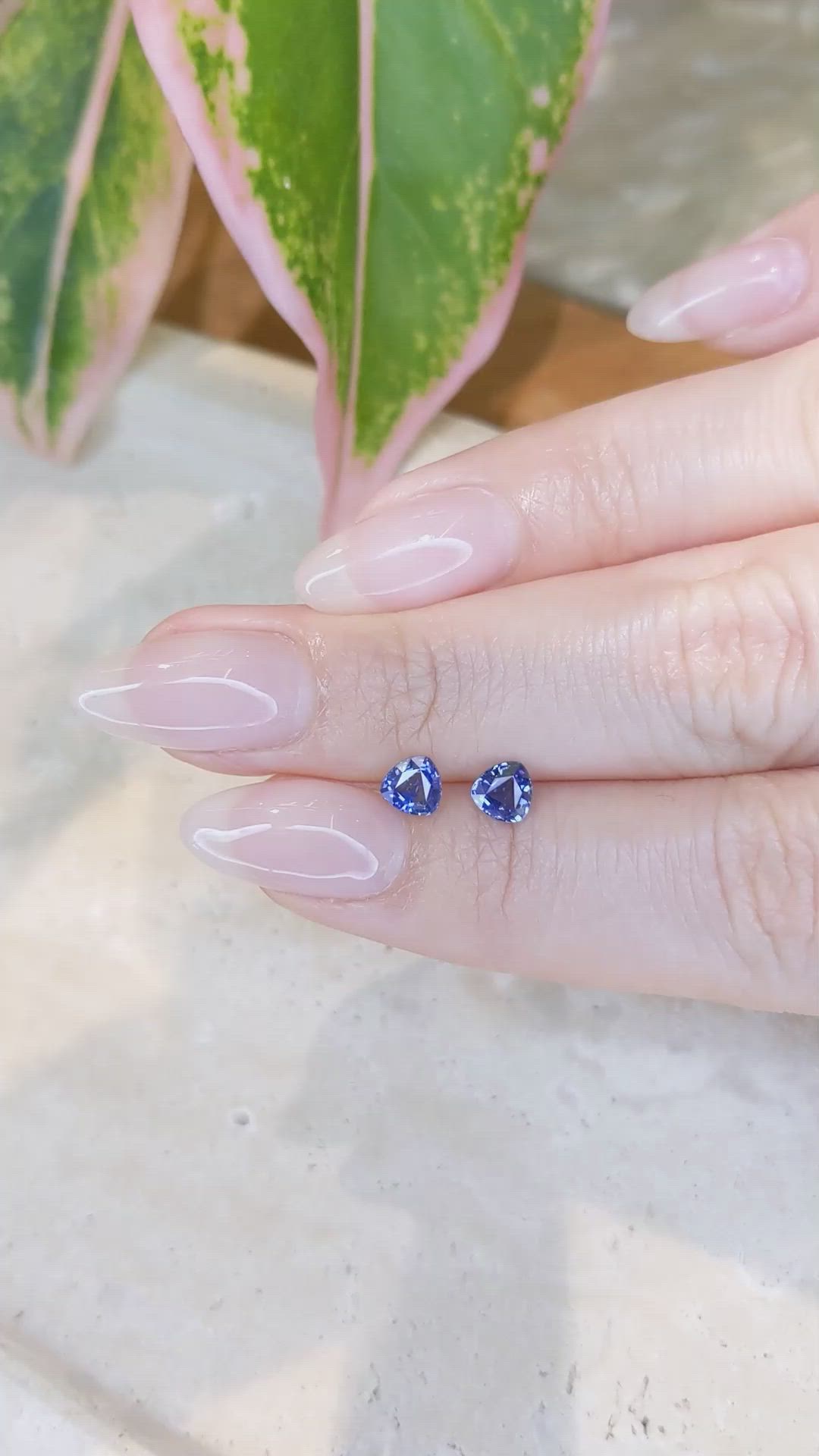 1.06&nbsp;Ct.Tw.Total Carat Weight Blue Sapphire Pair from Ceylon (Sri Lanka) Size Video