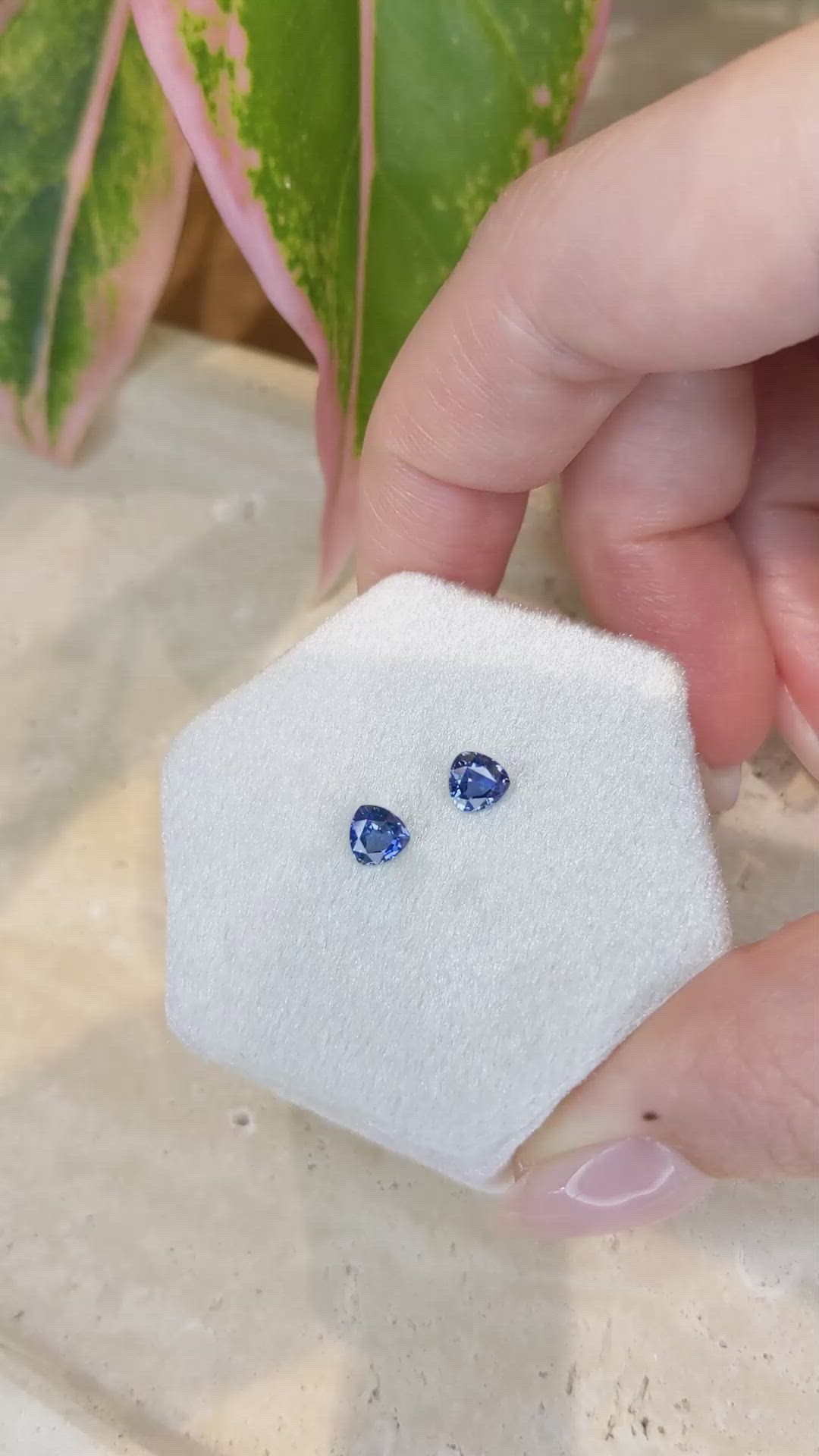 1.06&nbsp;Ct.Tw.Total Carat Weight Blue Sapphire Pair from Ceylon (Sri Lanka) Size Video