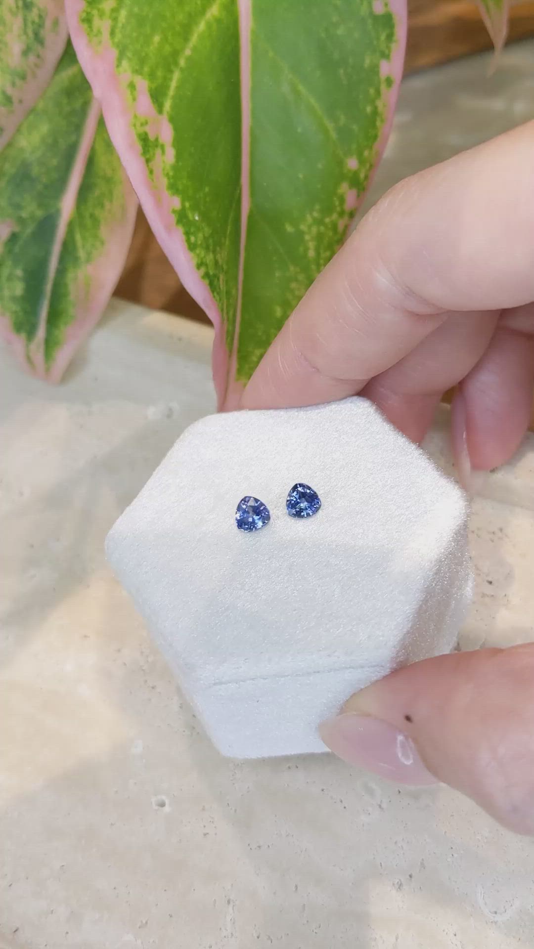 1.22 Ct.Tw.Total Carat Weight Blue Sapphire Pair from Ceylon (Sri Lanka) Size Video