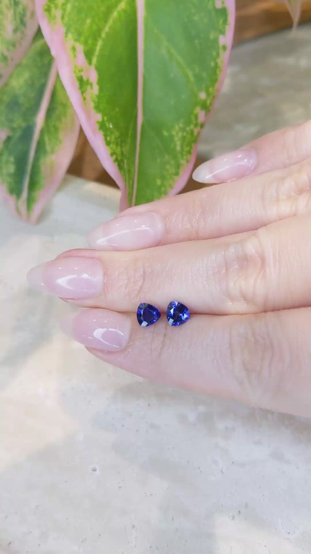 1.55&nbsp;Ct.Tw.Total Carat Weight Blue Sapphire Pair from Ceylon (Sri Lanka) Size Video