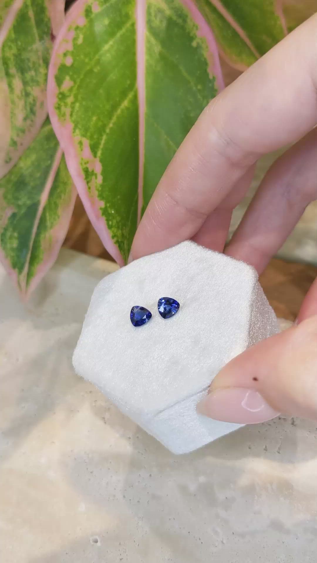 1.55&nbsp;Ct.Tw.Total Carat Weight Blue Sapphire Pair from Ceylon (Sri Lanka) Size Video