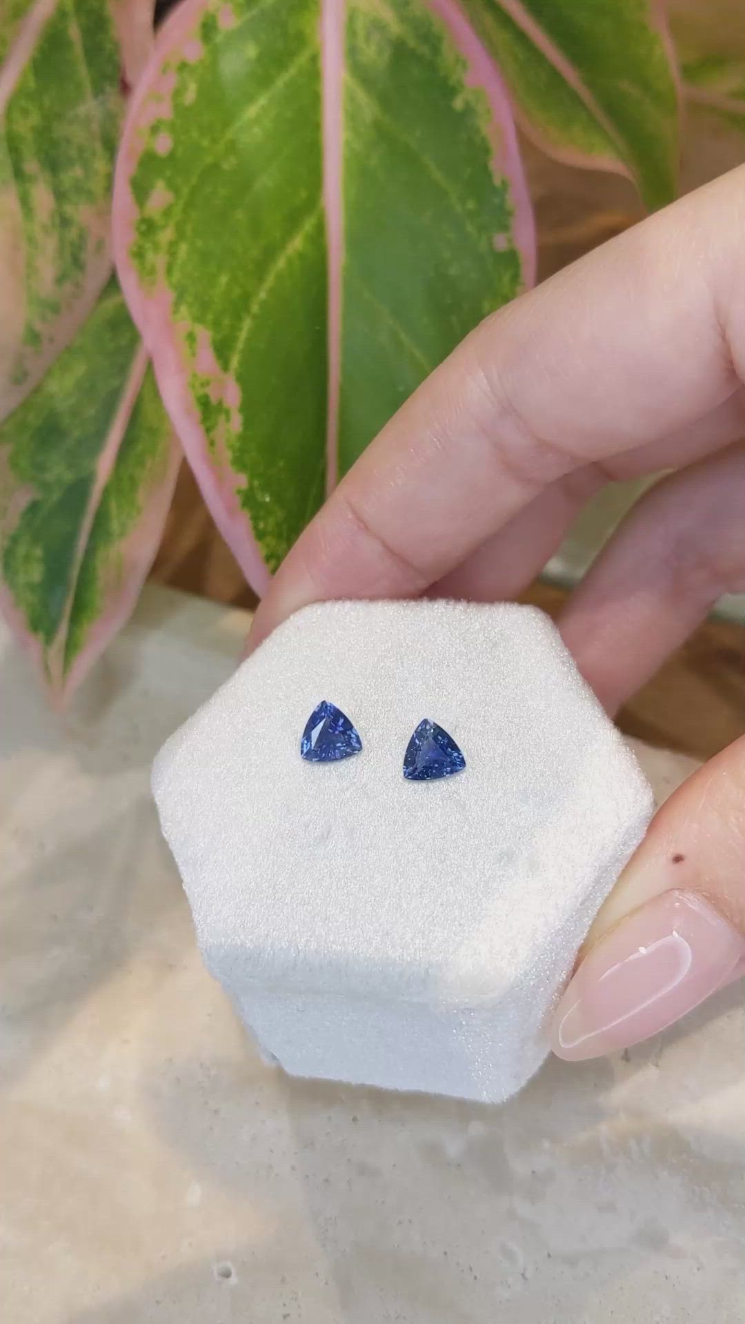 1.67 Ct.Tw.Total Carat Weight Blue Sapphire Pair from Ceylon (Sri Lanka) Size Video