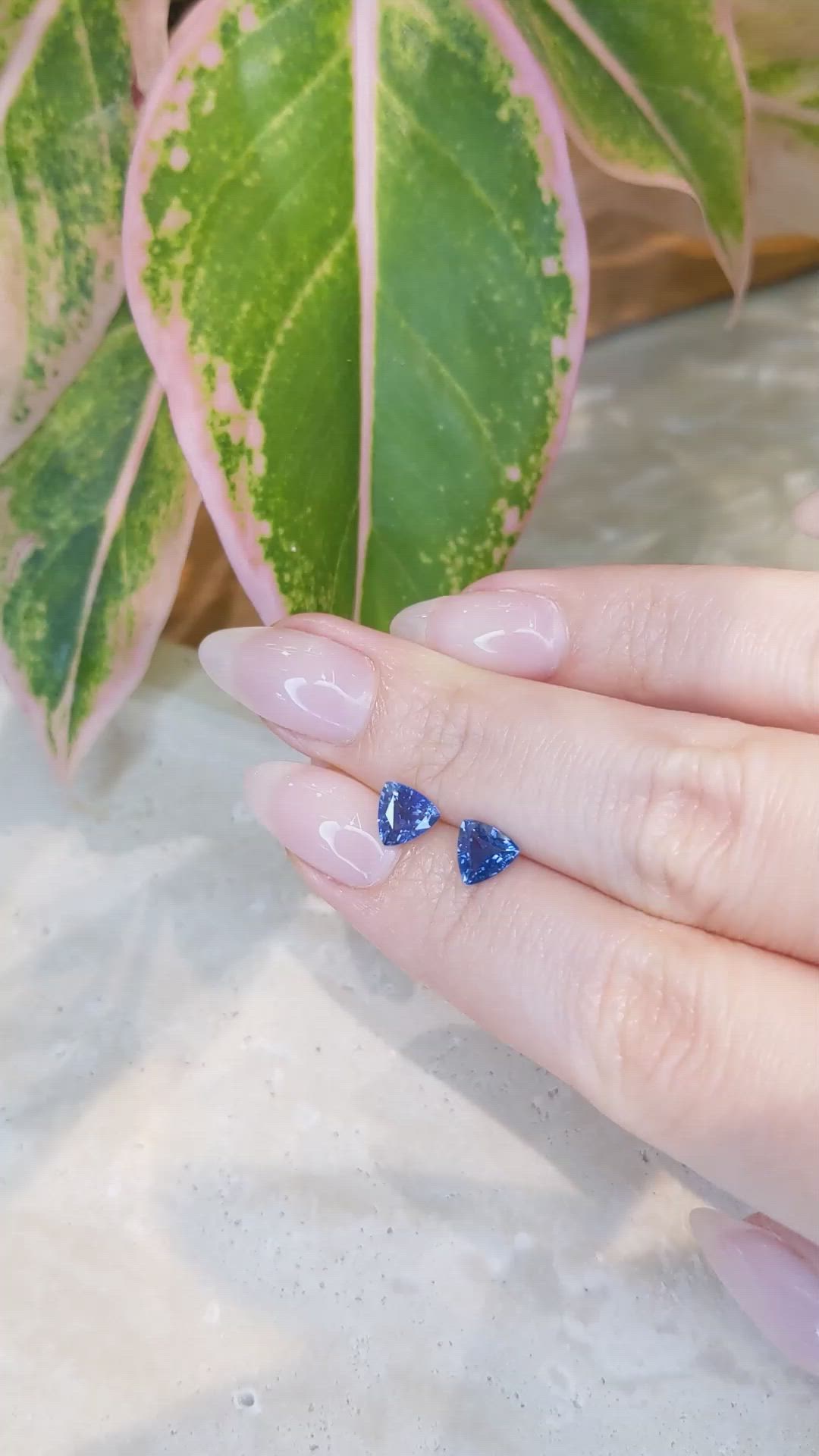 1.67 Ct.Tw.Total Carat Weight Blue Sapphire Pair from Ceylon (Sri Lanka) Size Video