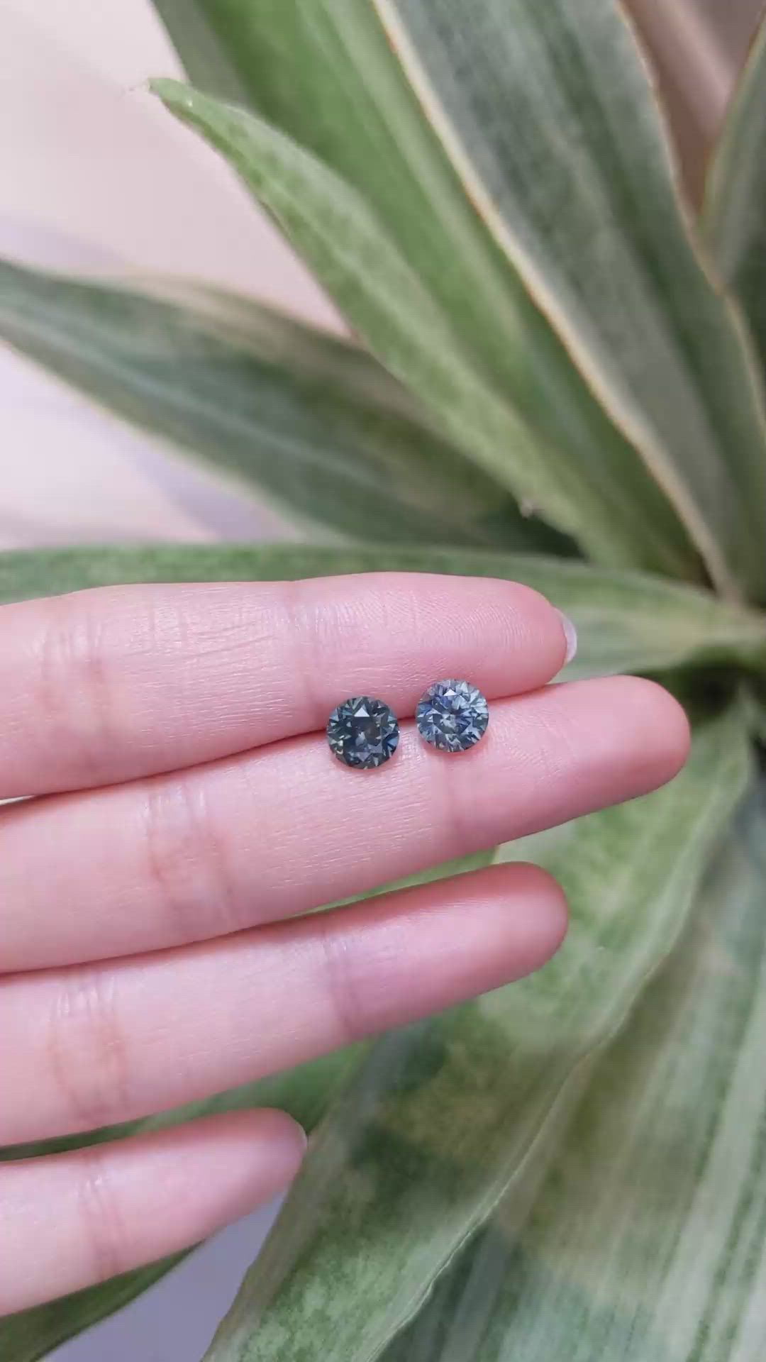 3.02 Ct.Tw.Total Carat Weight Greenish Blue Sapphire Pair from Montana Size Video