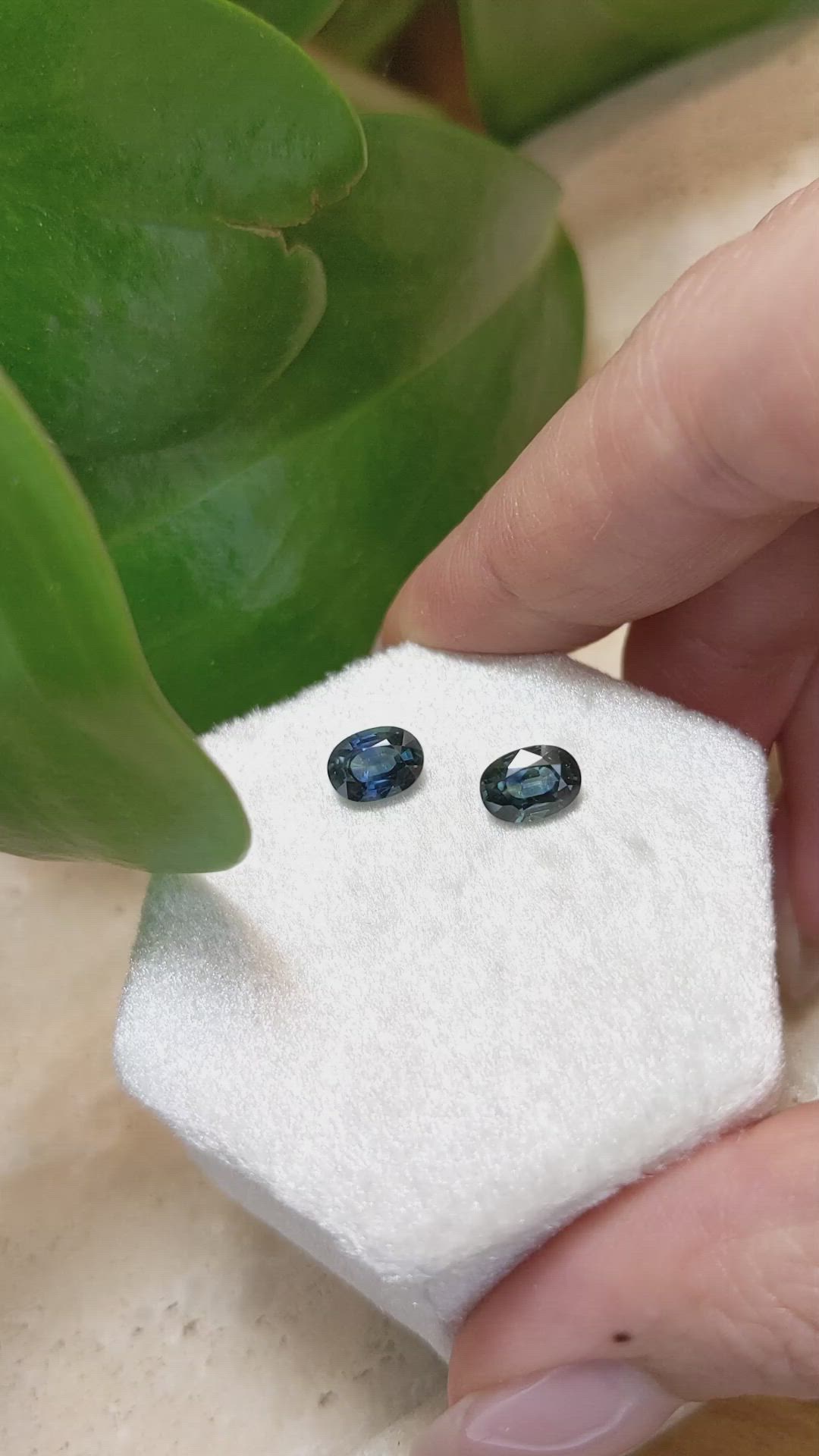 2.30 Ct.Tw.Total Carat Weight Sapphire Pair from Madagascar Size Video