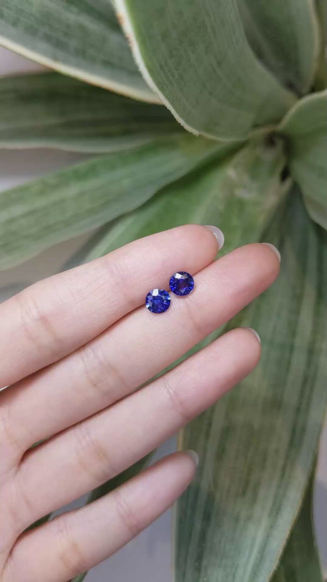 1.85&nbsp;Ct.Tw.Total Carat Weight Blue Sapphire Pair from Ceylon (Sri Lanka) Size Video