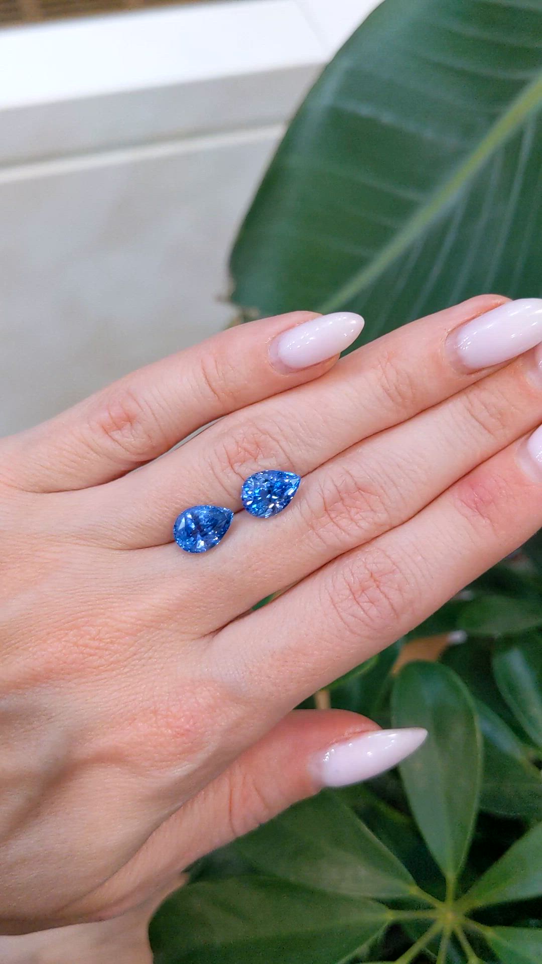 7.20&nbsp;Ct.Tw.Total Carat Weight Blue Sapphire Pair from Ceylon (Sri Lanka) Size Video