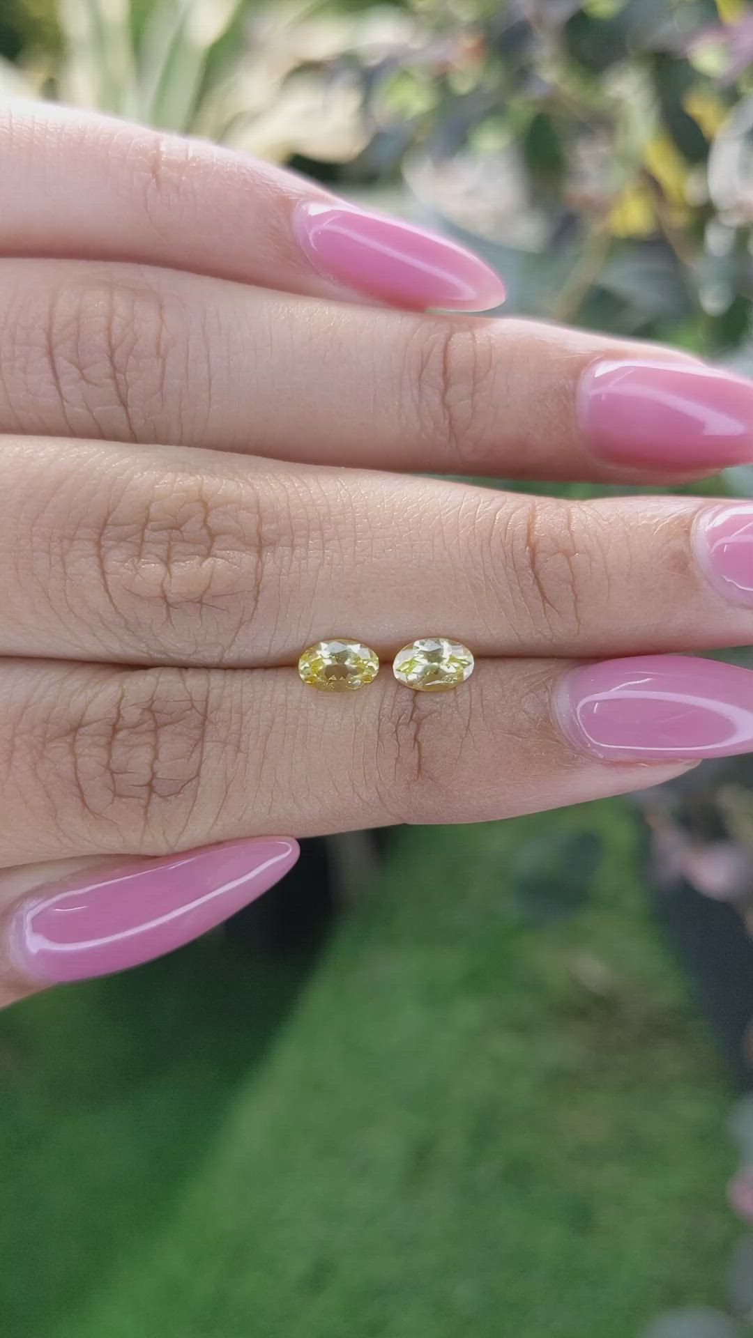 0.93 Ct.Tw.Total Carat Weight Yellow Sapphire Pair from Ceylon (Sri Lanka) Size Video