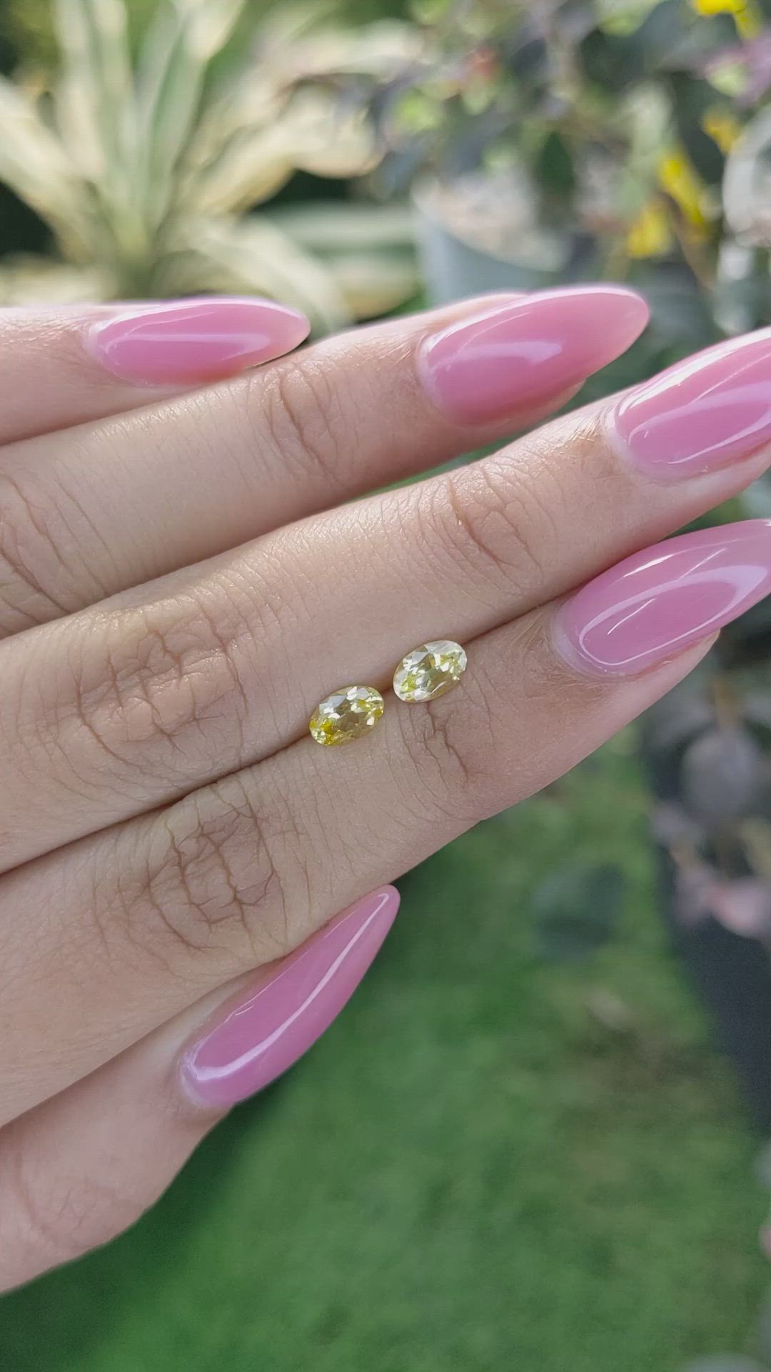 0.93 Ct.Tw.Total Carat Weight Yellow Sapphire Pair from Ceylon (Sri Lanka) Size Video