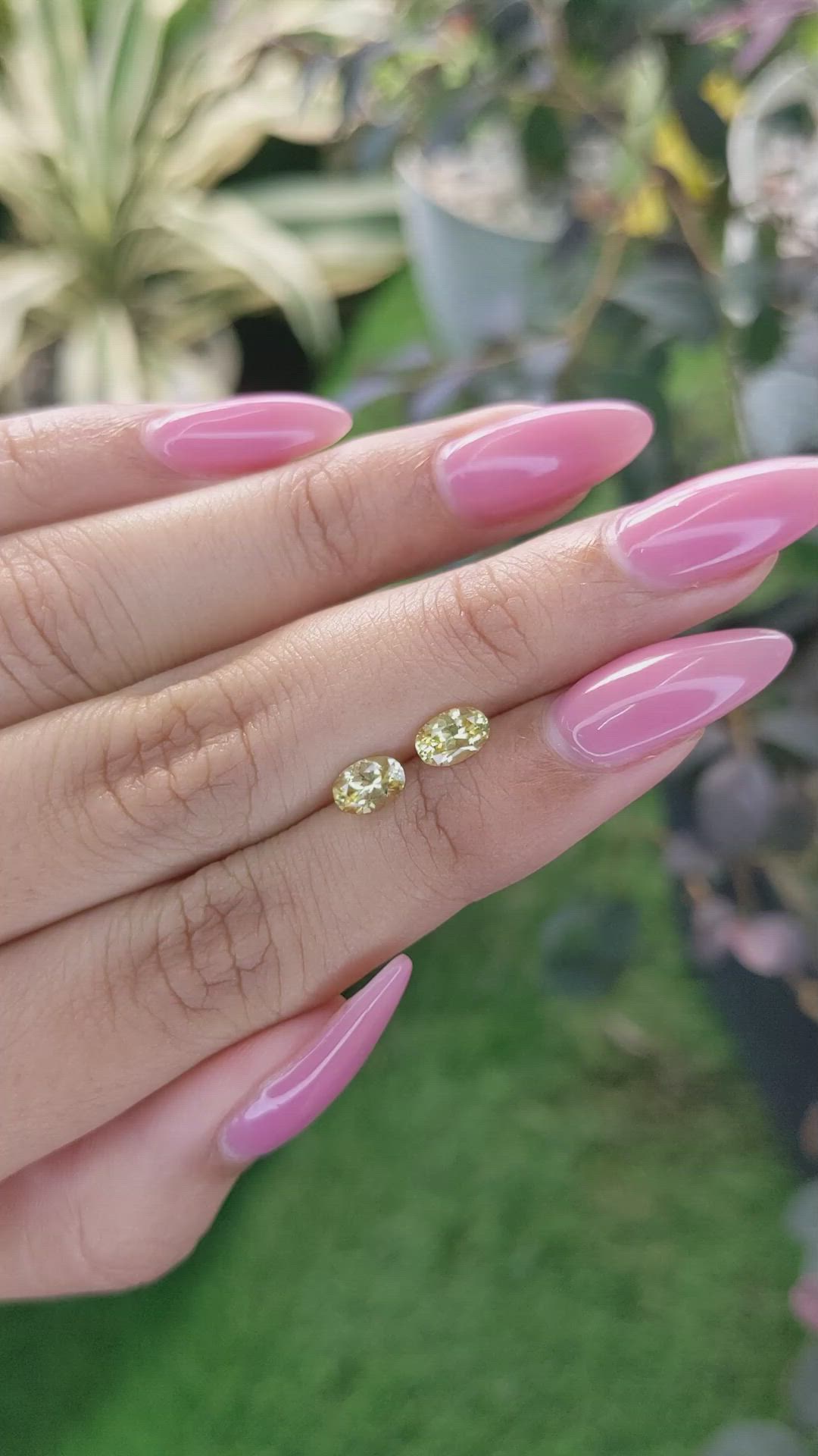 1.08 Ct.Tw.Total Carat Weight Yellow Sapphire Pair from Ceylon (Sri Lanka) Size Video