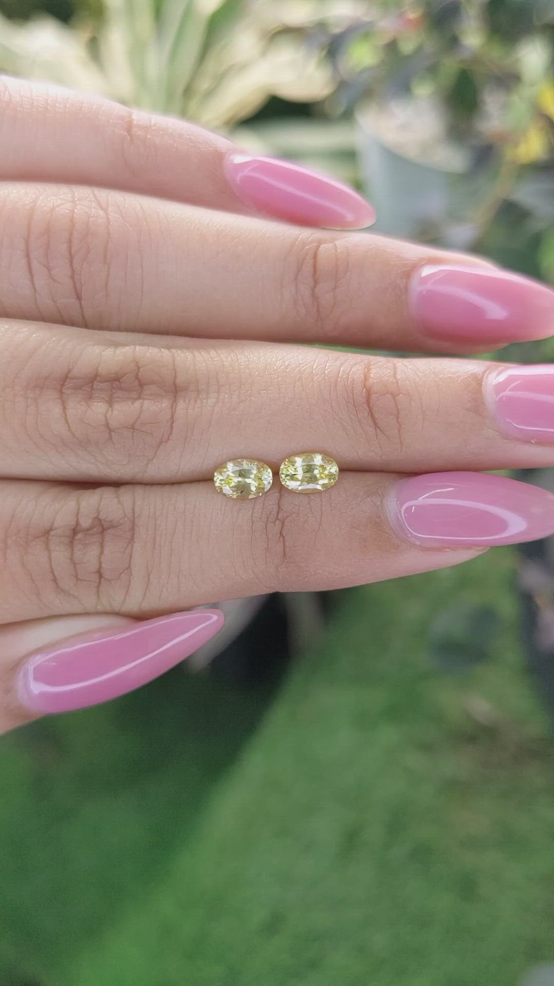 1.08 Ct.Tw.Total Carat Weight Yellow Sapphire Pair from Ceylon (Sri Lanka) Size Video