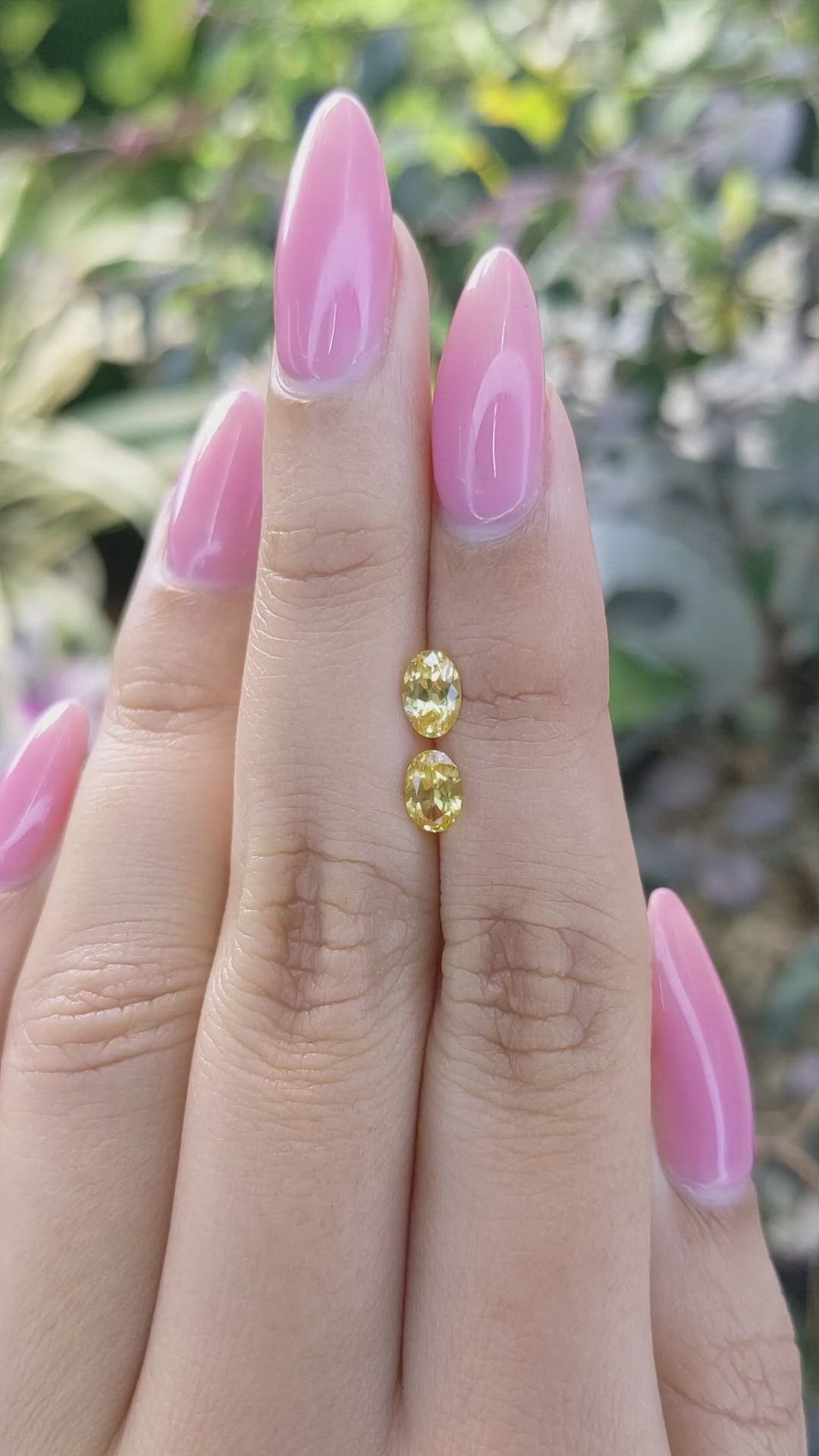 1.06 Ct.Tw.Total Carat Weight Yellow Sapphire Pair from Ceylon (Sri Lanka) Size Video