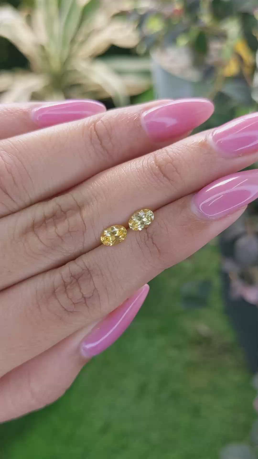 1.10&nbsp;Ct.Tw.Total Carat Weight Orangish Yellow Sapphire Pair from Ceylon (Sri Lanka) Size Video