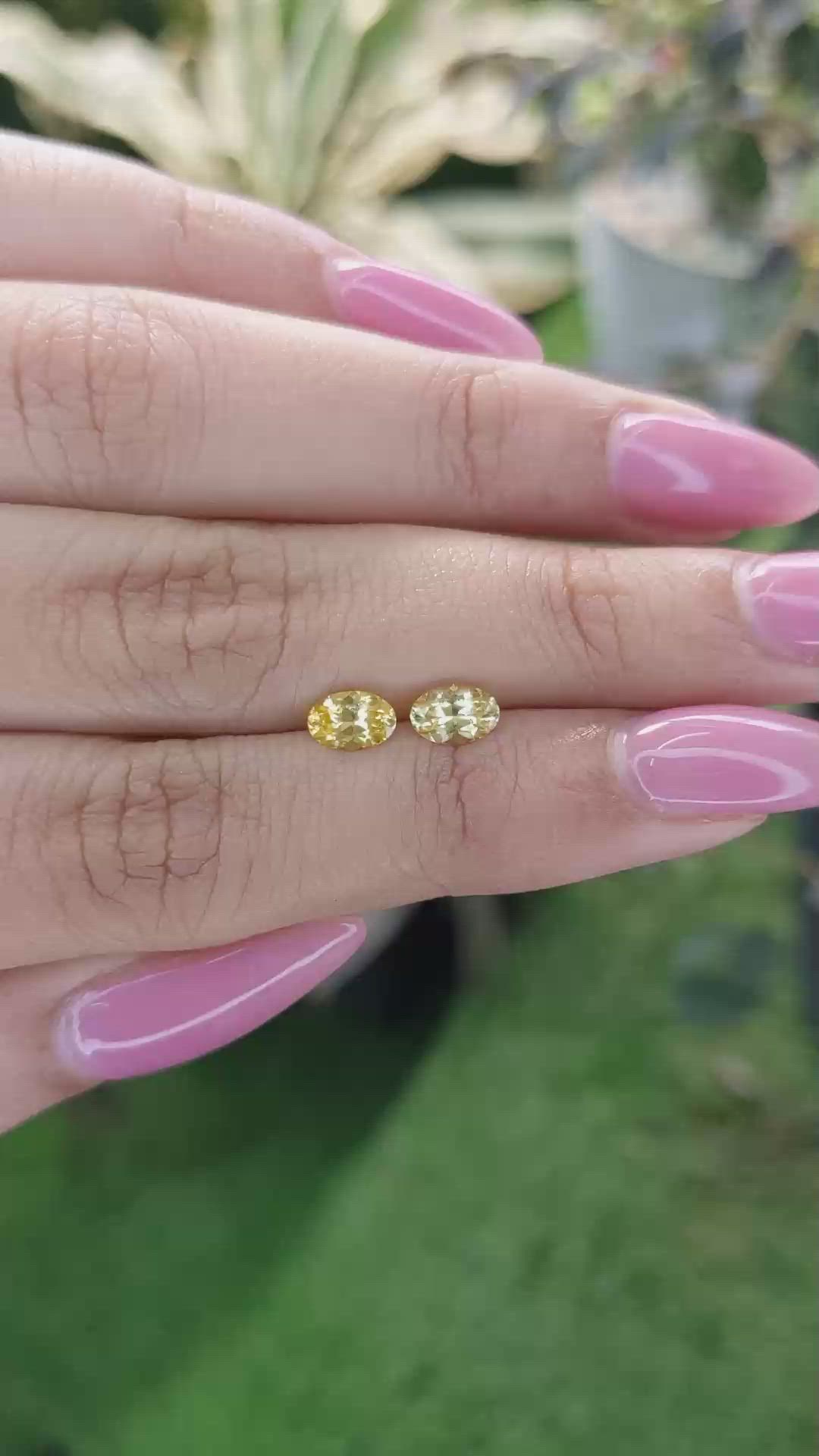 1.10&nbsp;Ct.Tw.Total Carat Weight Orangish Yellow Sapphire Pair from Ceylon (Sri Lanka) Size Video