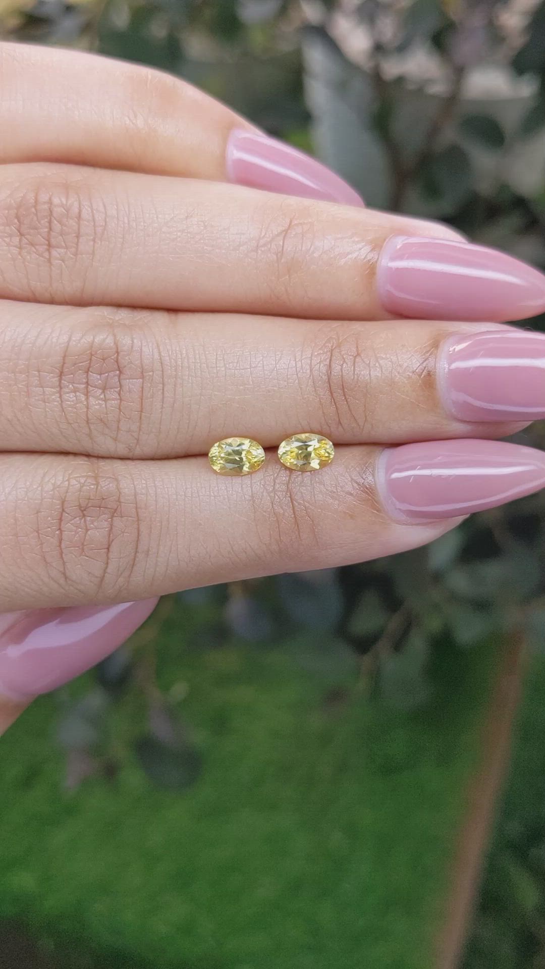 1.07&nbsp;Ct.Tw.Total Carat Weight Yellow Sapphire Pair from Ceylon (Sri Lanka) Size Video