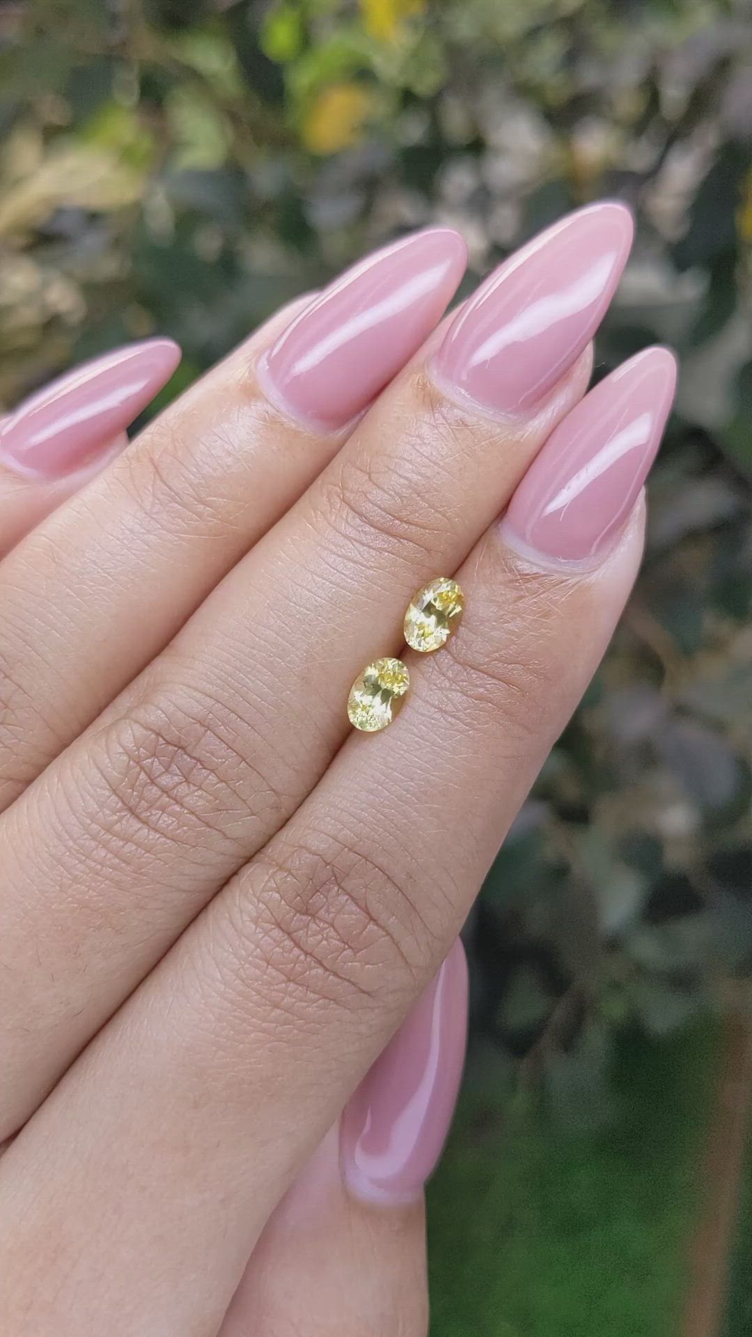 1.07&nbsp;Ct.Tw.Total Carat Weight Yellow Sapphire Pair from Ceylon (Sri Lanka) Size Video